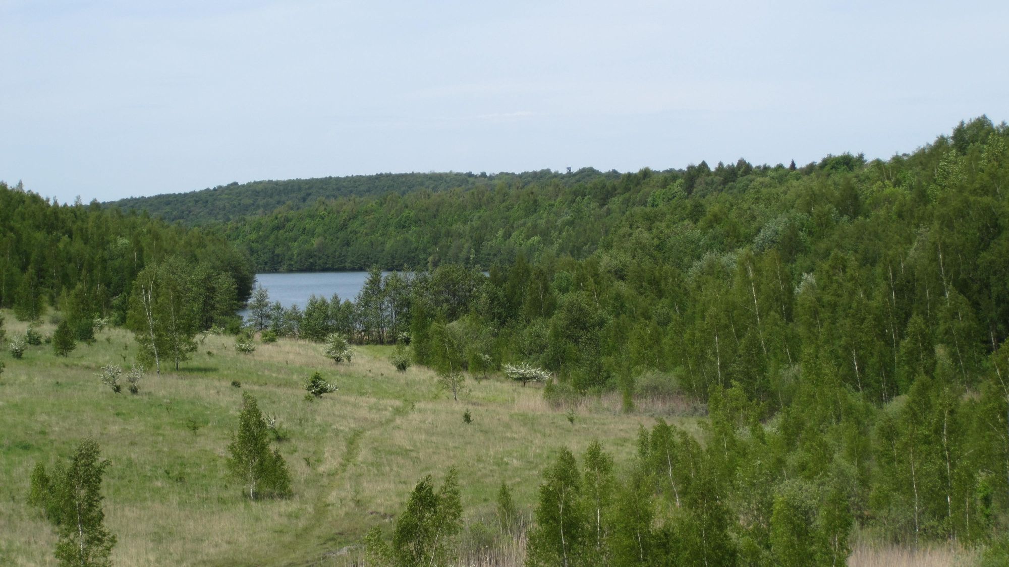 Naturatlas - Tagebau Haverlahwiese