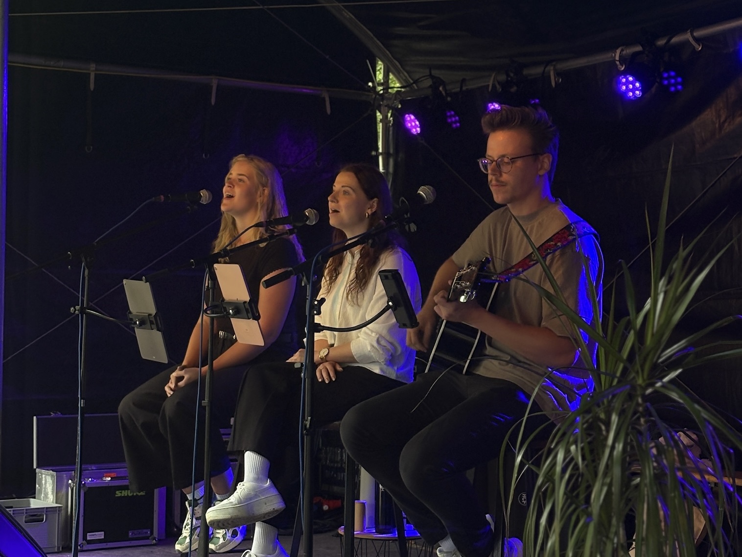 Live hinterm Deich - "Acoustic Moment Trio" in Horumersiel