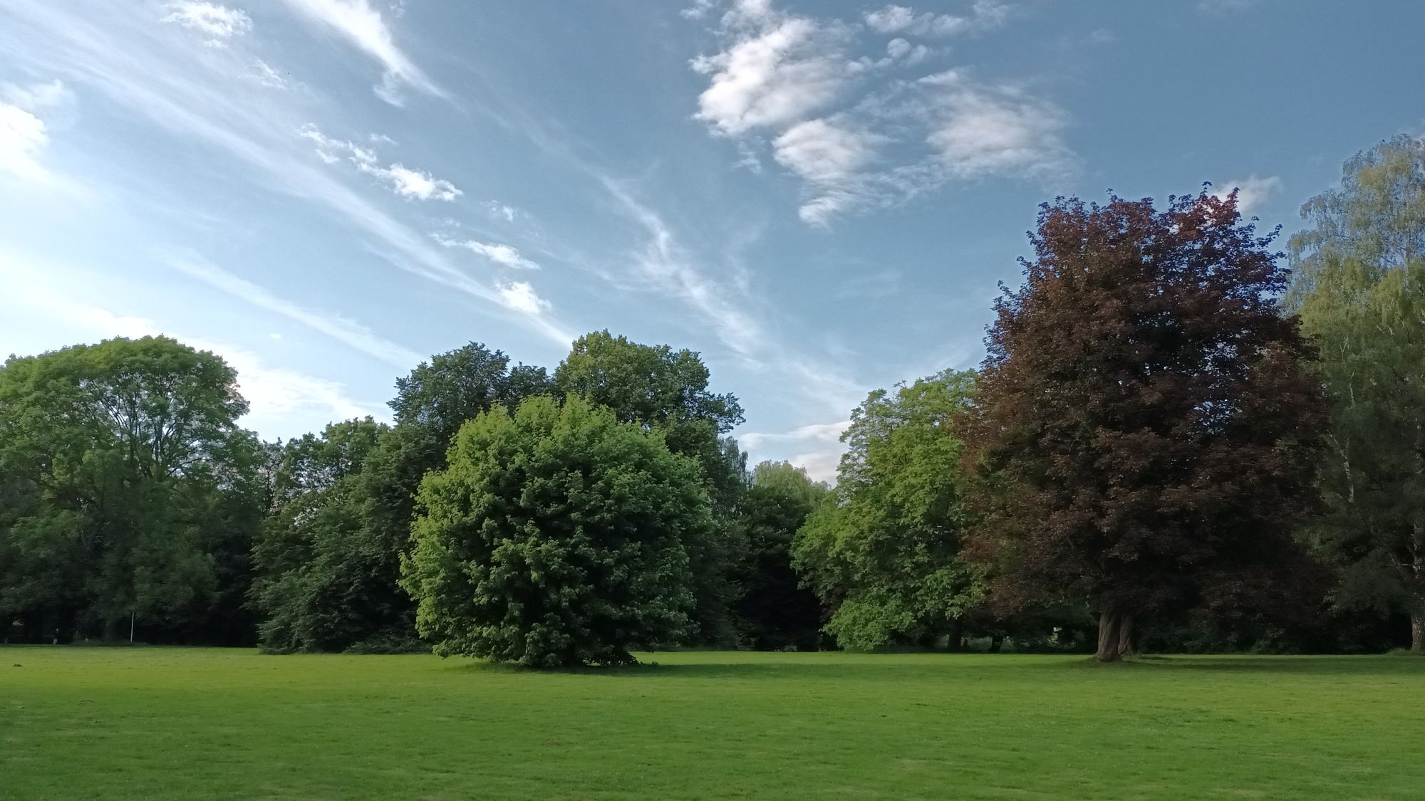 Baumlehrpfad im Stadtpark Salzgitter-Lebenstedt