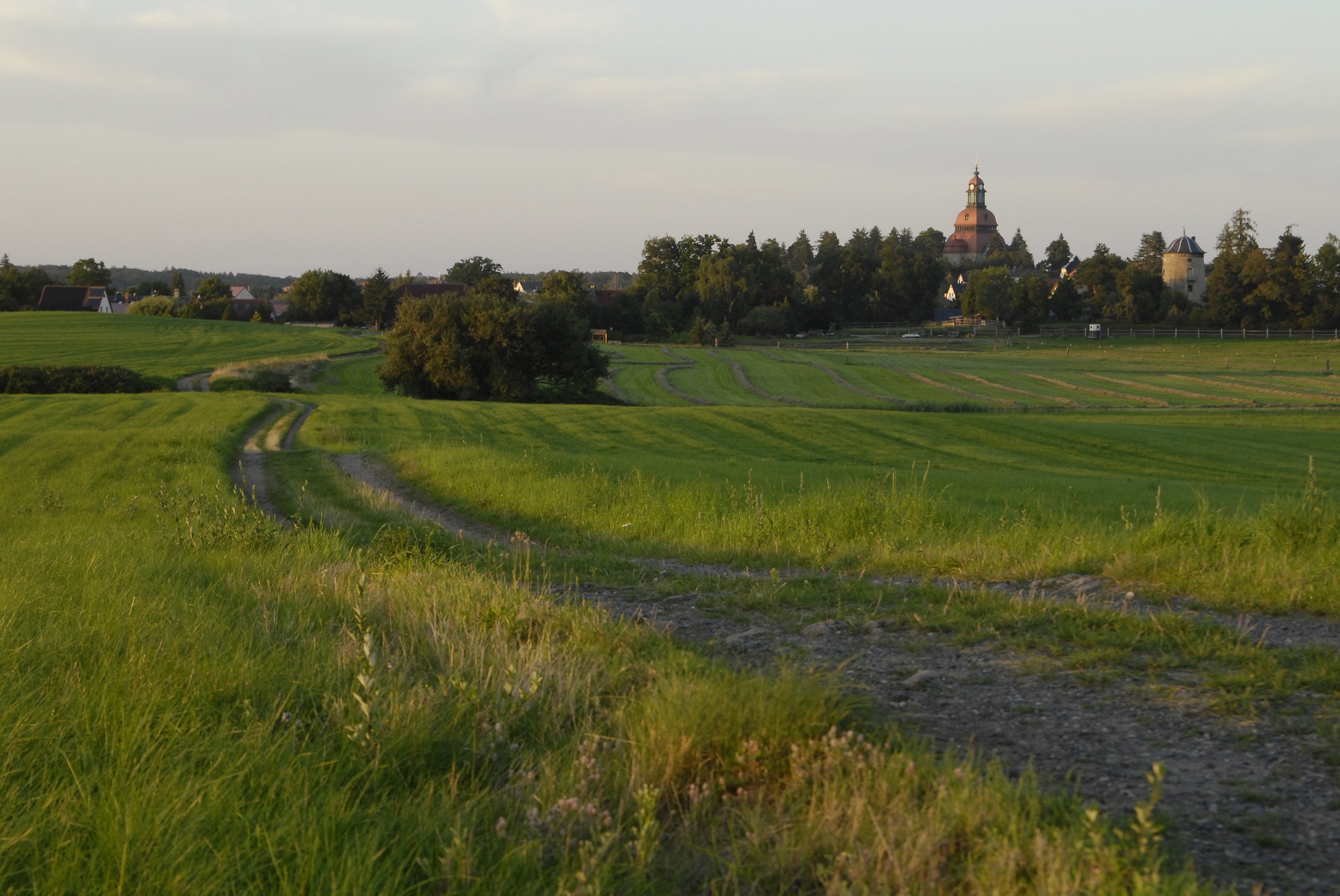 Blauer Punkt: Friedewald Rundweg – Motiv