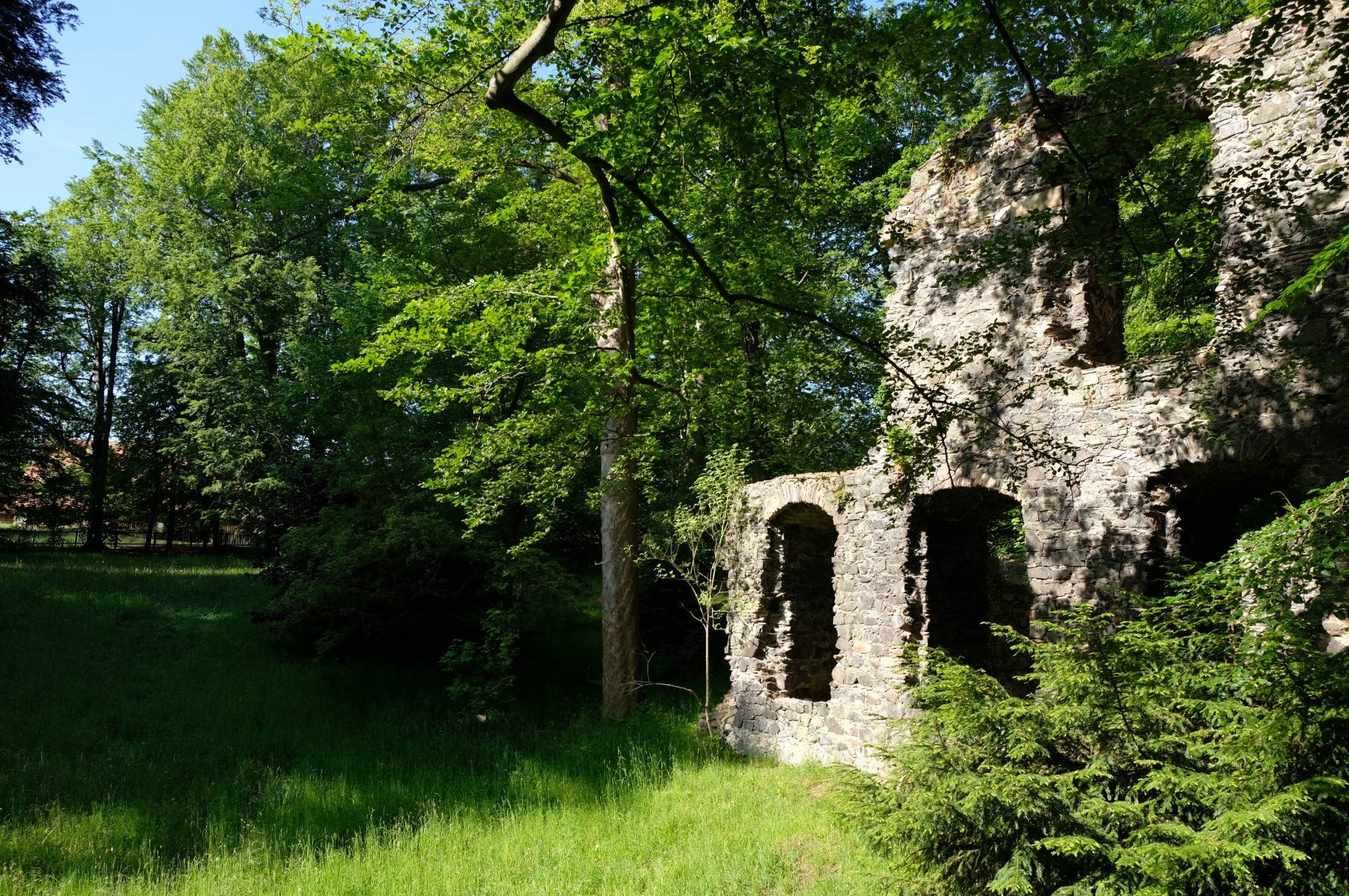 Klosterpark Altzella – Motiv