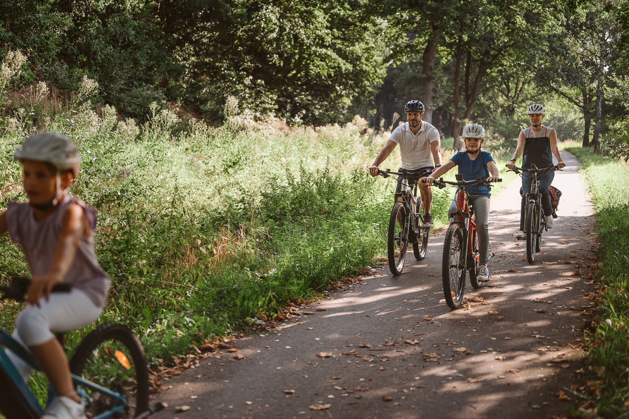 Göltzschtalradweg – Talvariante (Teilabschnitt) – Motiv