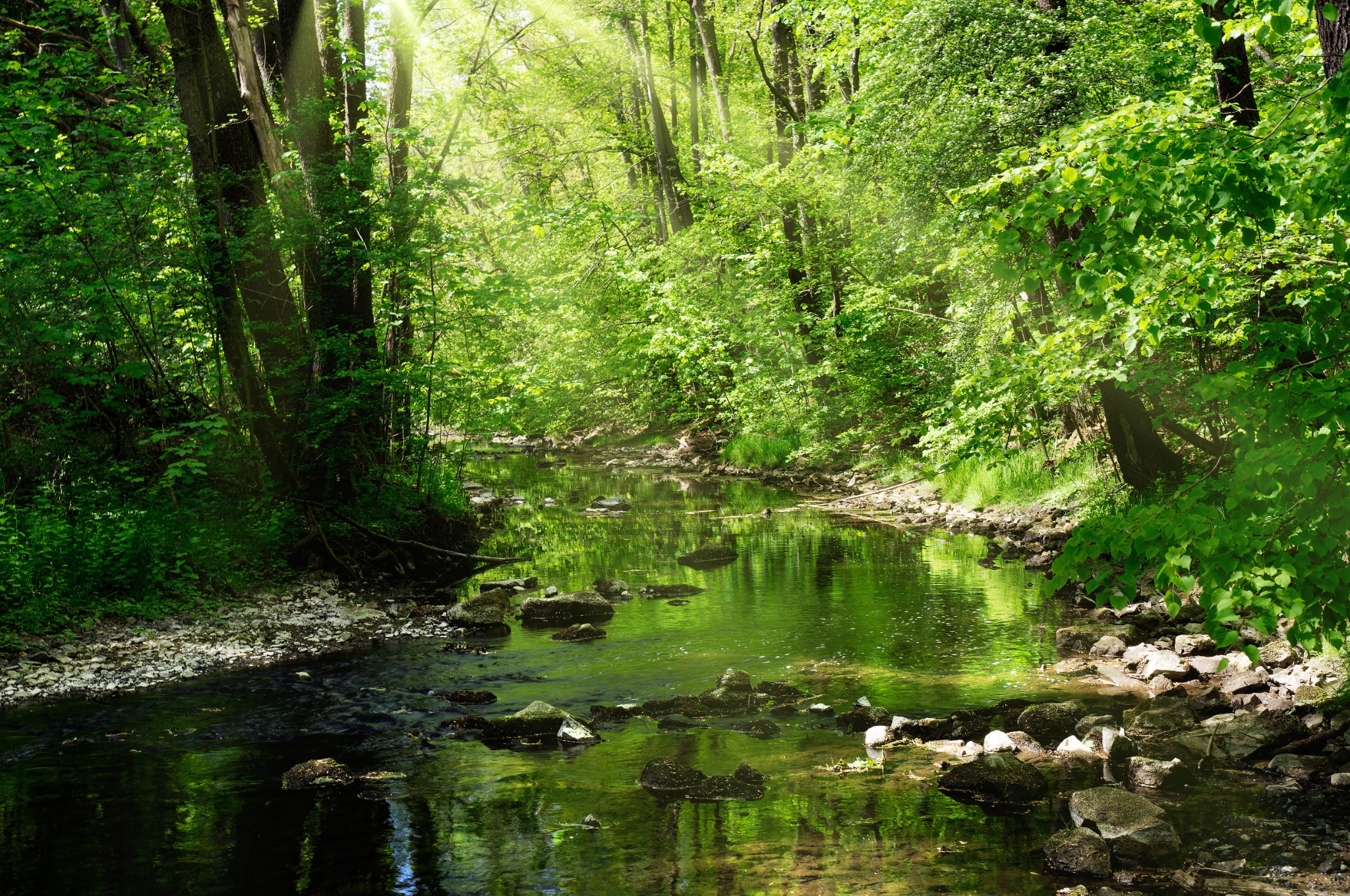 J9 – Wanderung über das Pfaffengut zur Talsperre Pöhl – Motiv
