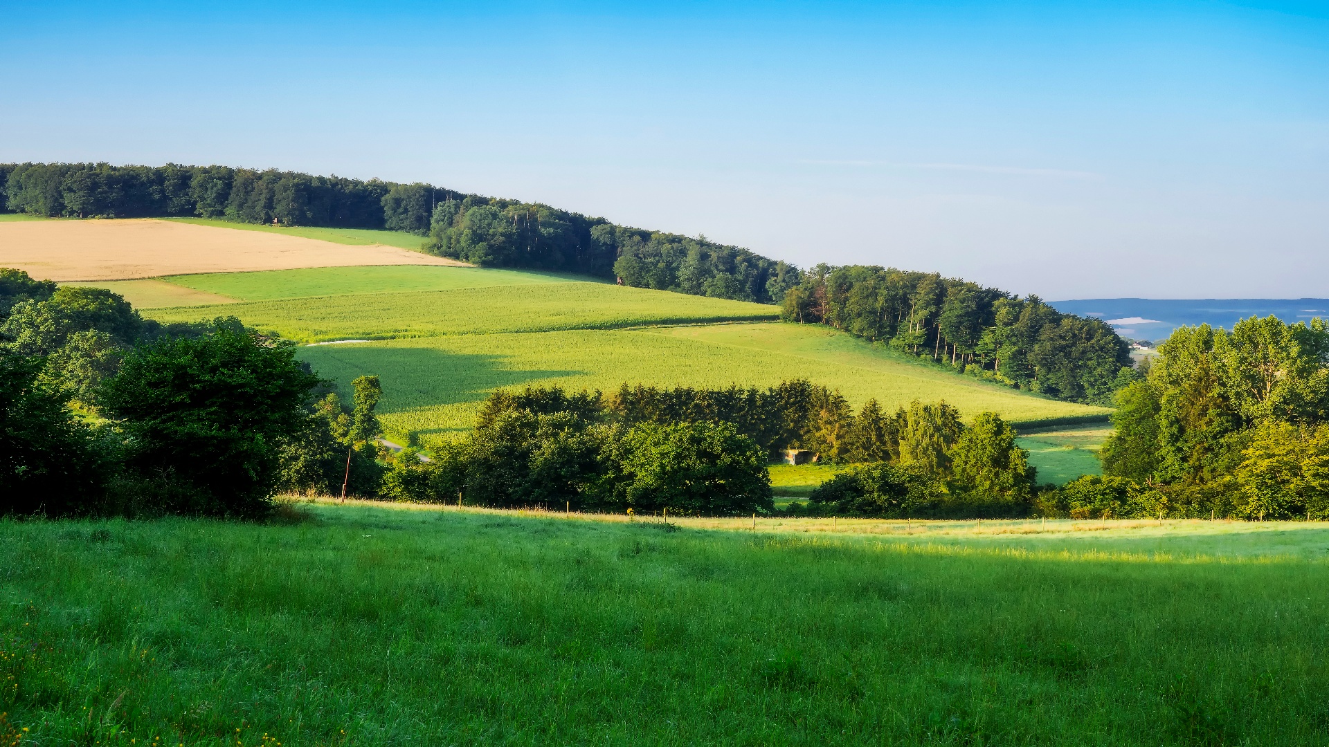Ortsspaziergang Friedrichshöhe, Volksen, Wennenkamp