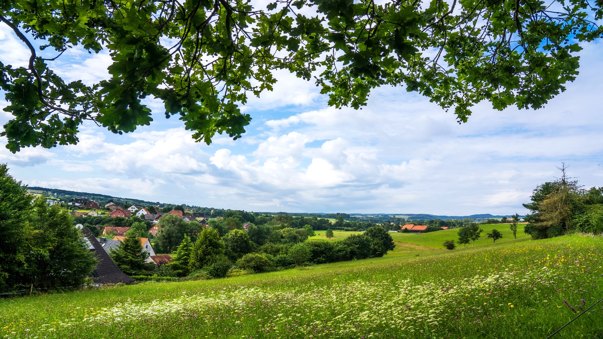 Ortsspaziergang Uchtdorf