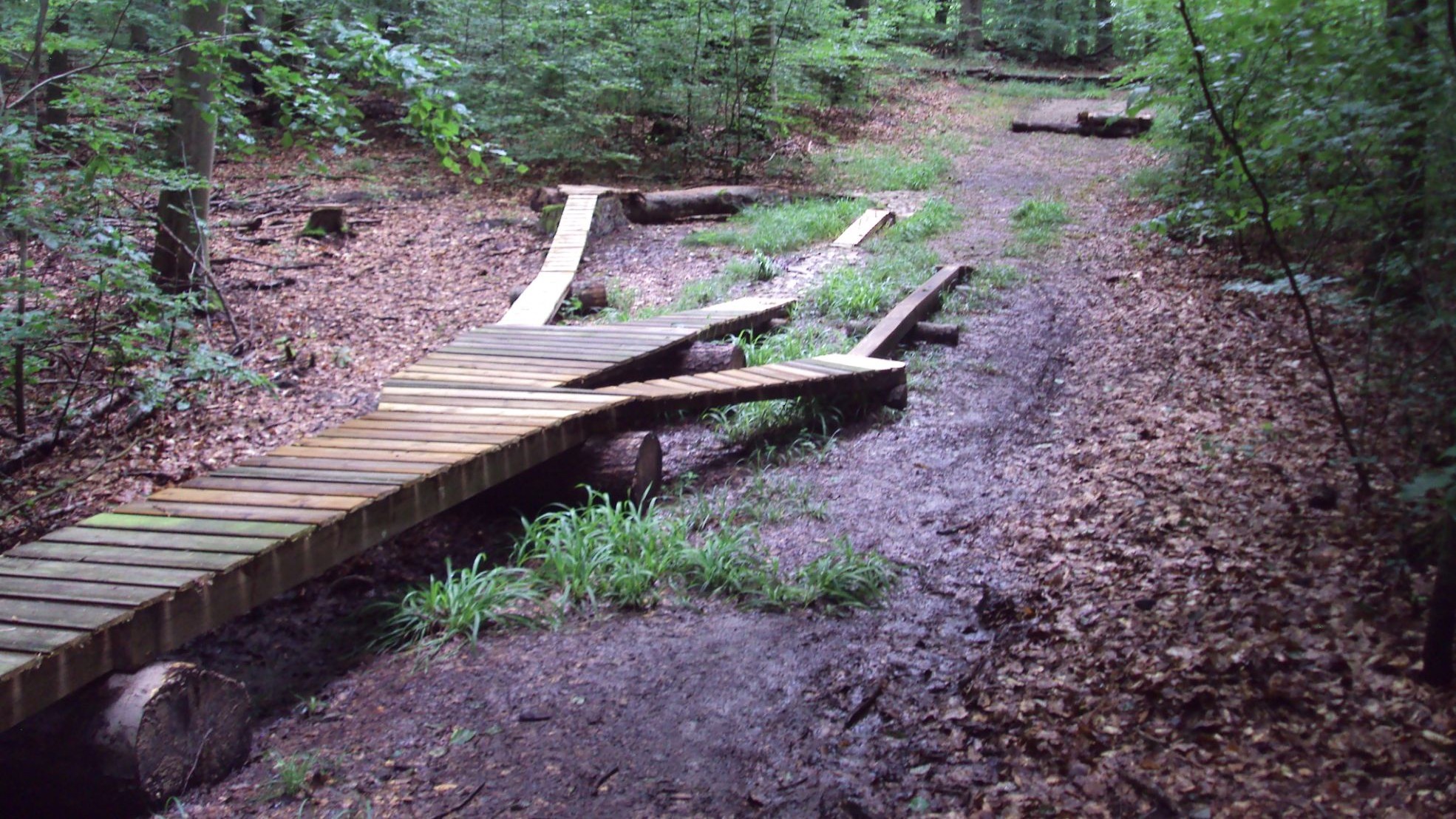 Mountainbike Abfahrt-Strecke bei Salzgitter-Lichtenberg