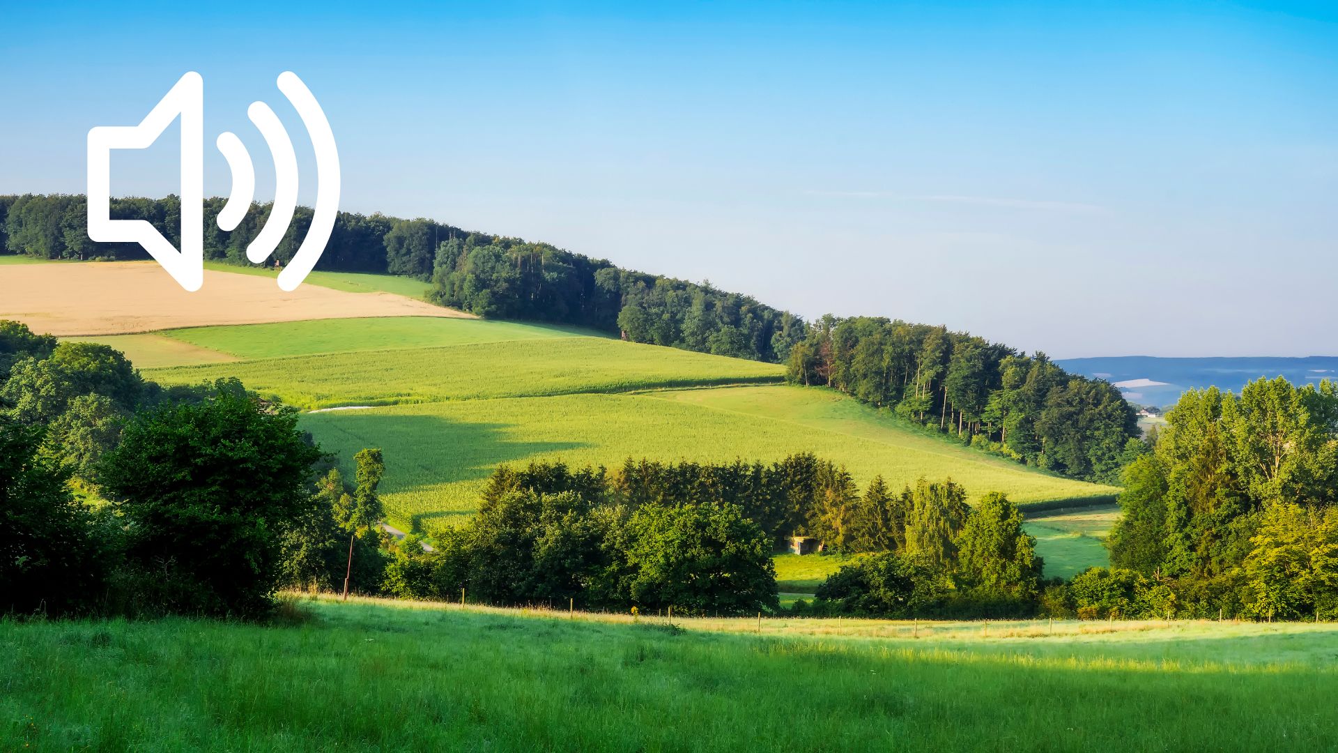 Audio 34 - Friedrichshöhe, Volksen und Wennenkamp, Ein historischer Überblick