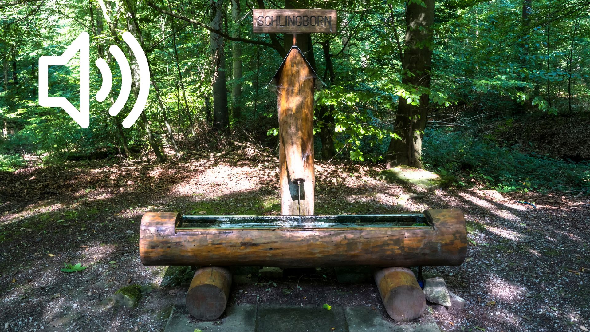 Audio 32 - Die Schaumburger Diamanten an der Schlingborner Quelle