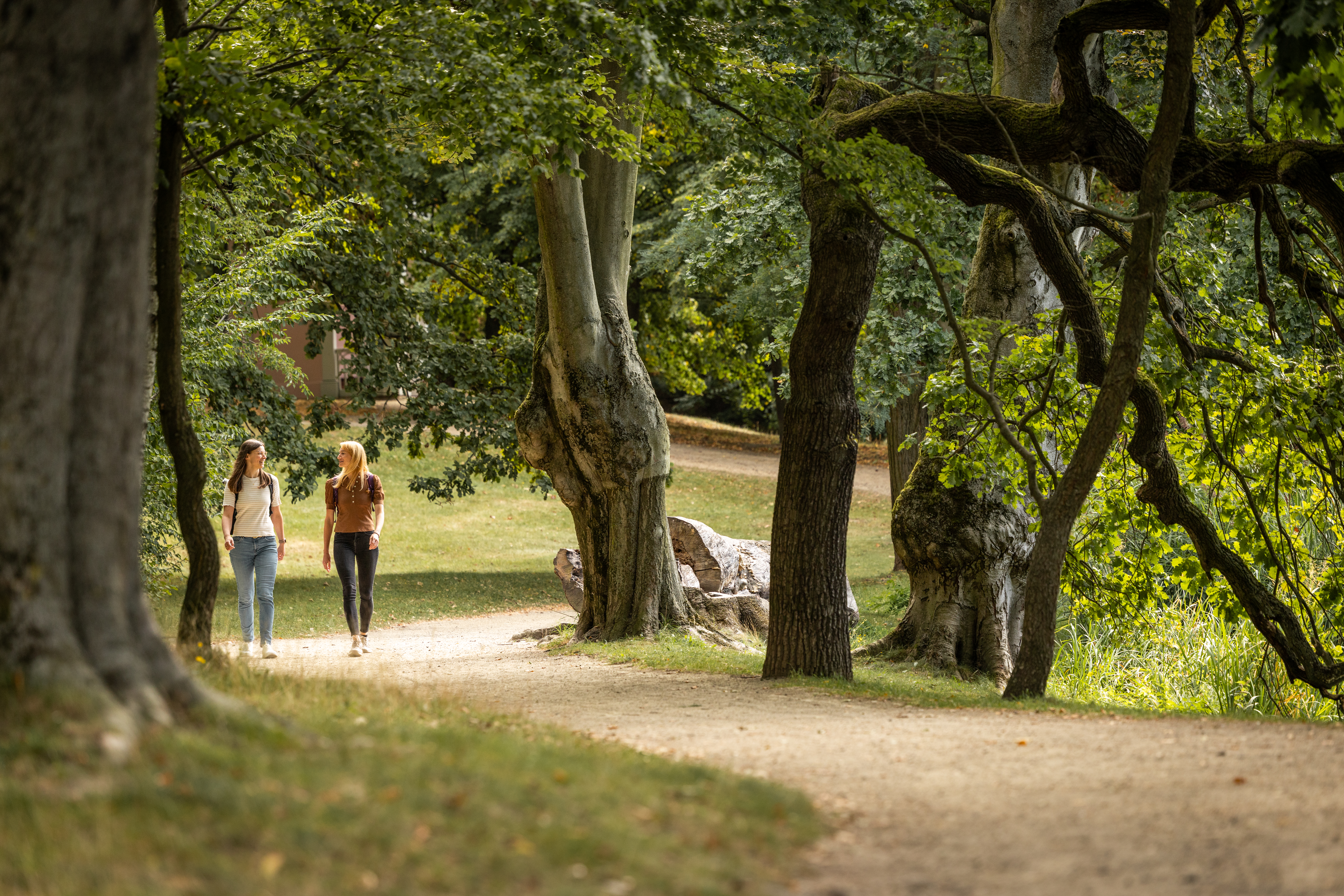 Schloss- und Landschaftsgarten Machern – Motiv