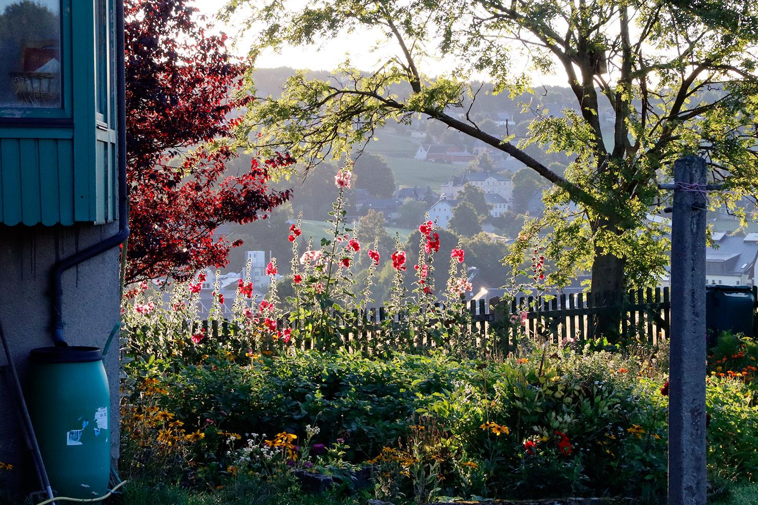Garten2
