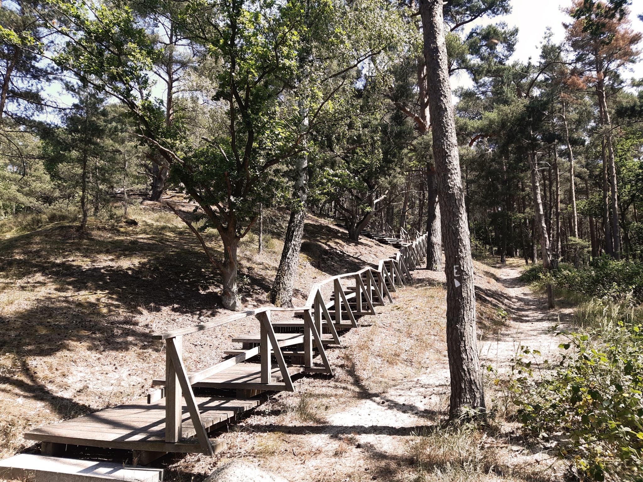 Höhbeck