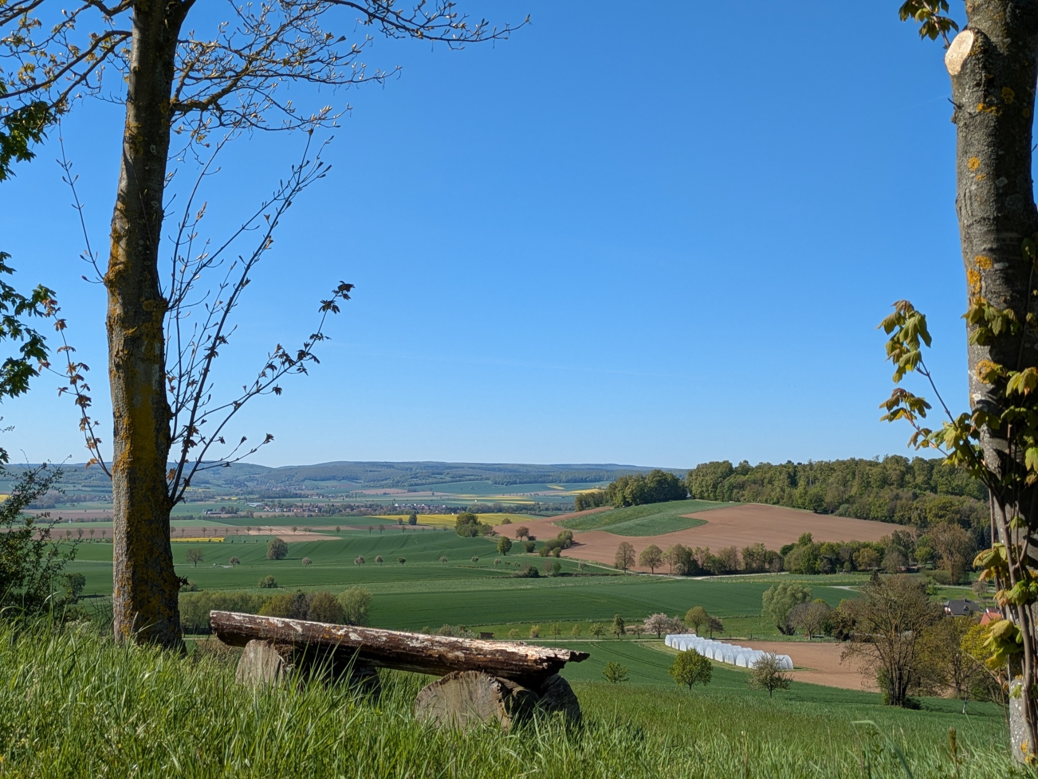 Rastplatz mit Ausblick - oberhalb von Avendshausen