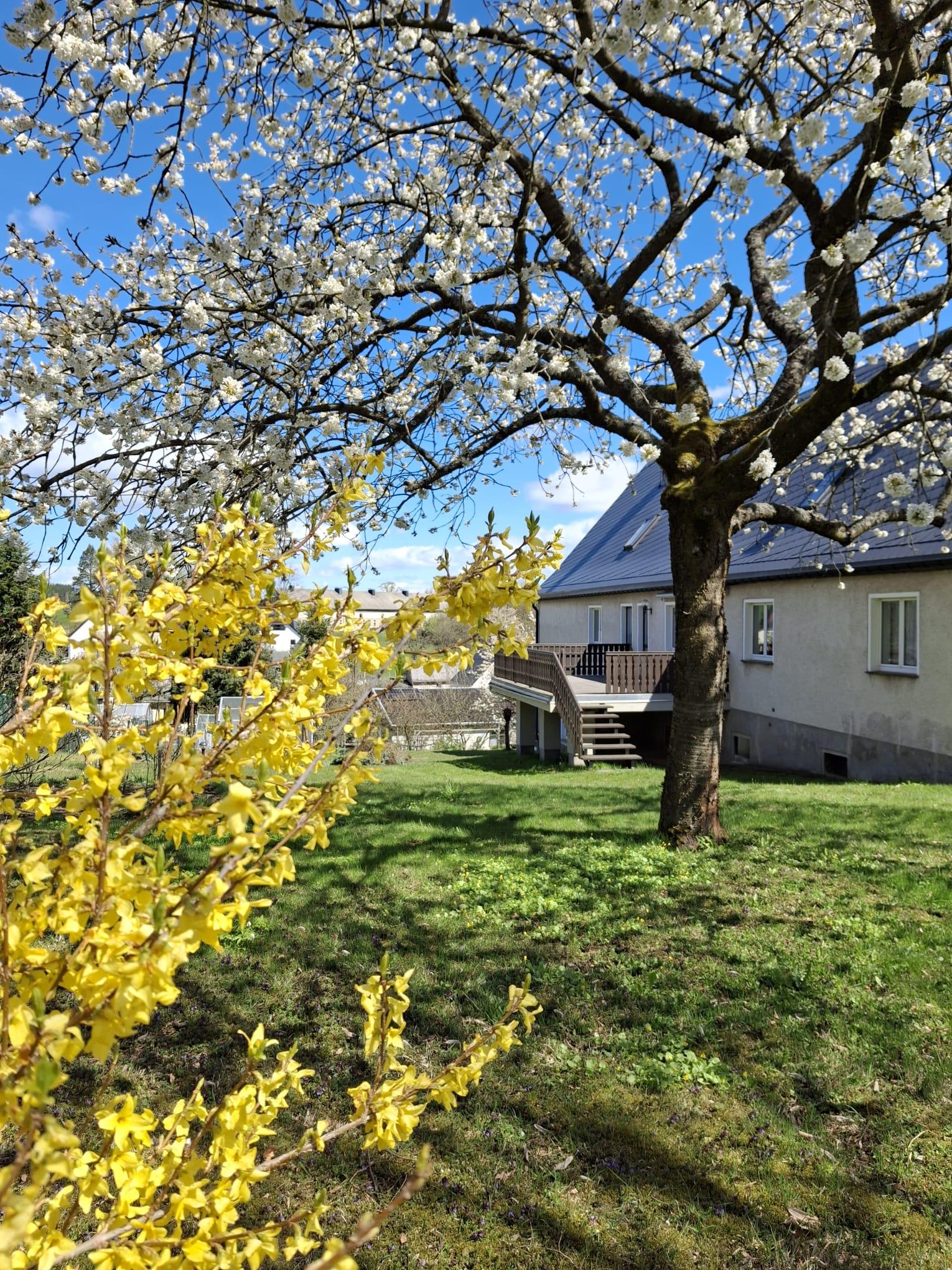 Ferienwohnung Buschbeck