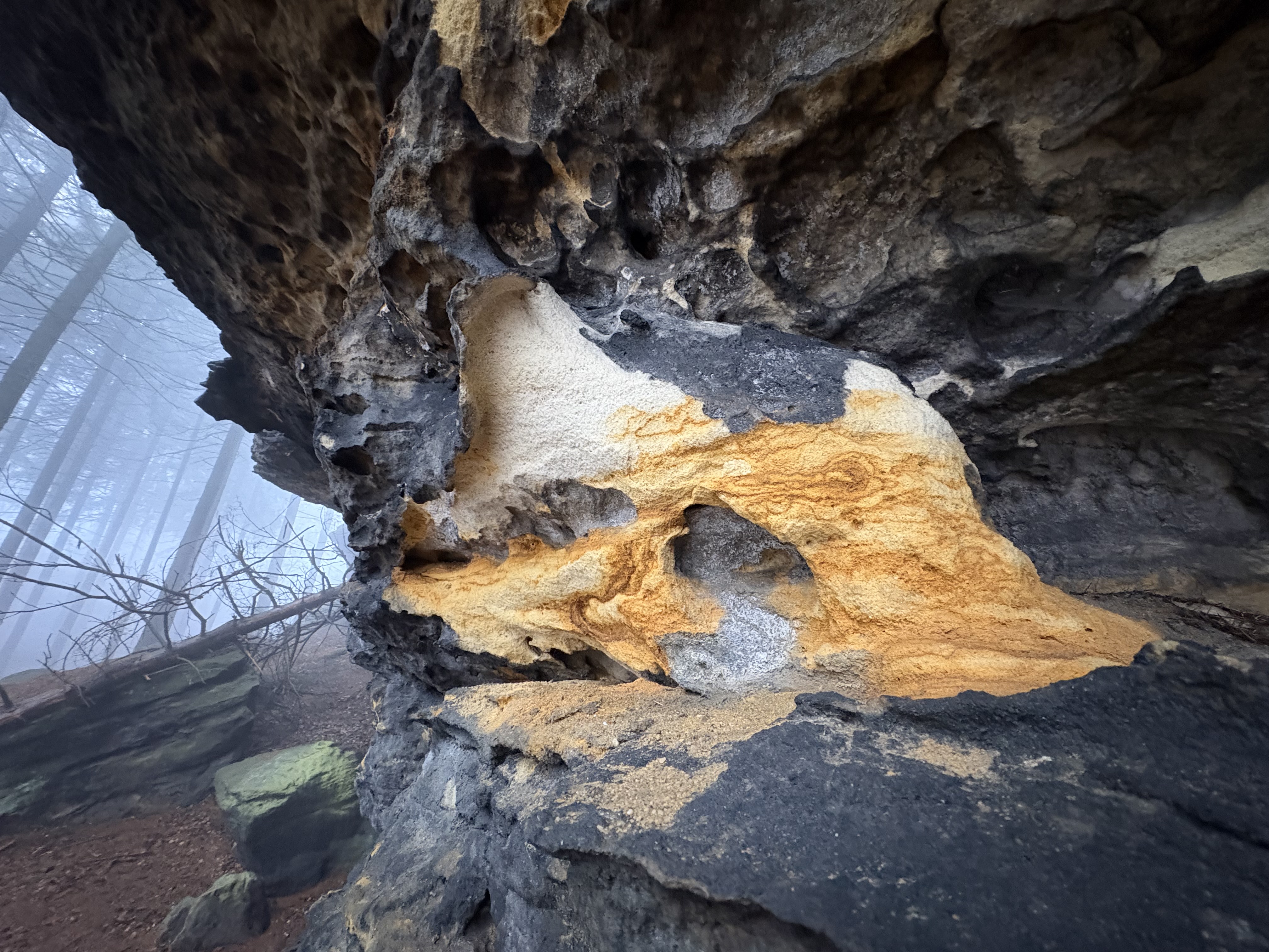 Glückswanderung Zschirnstein