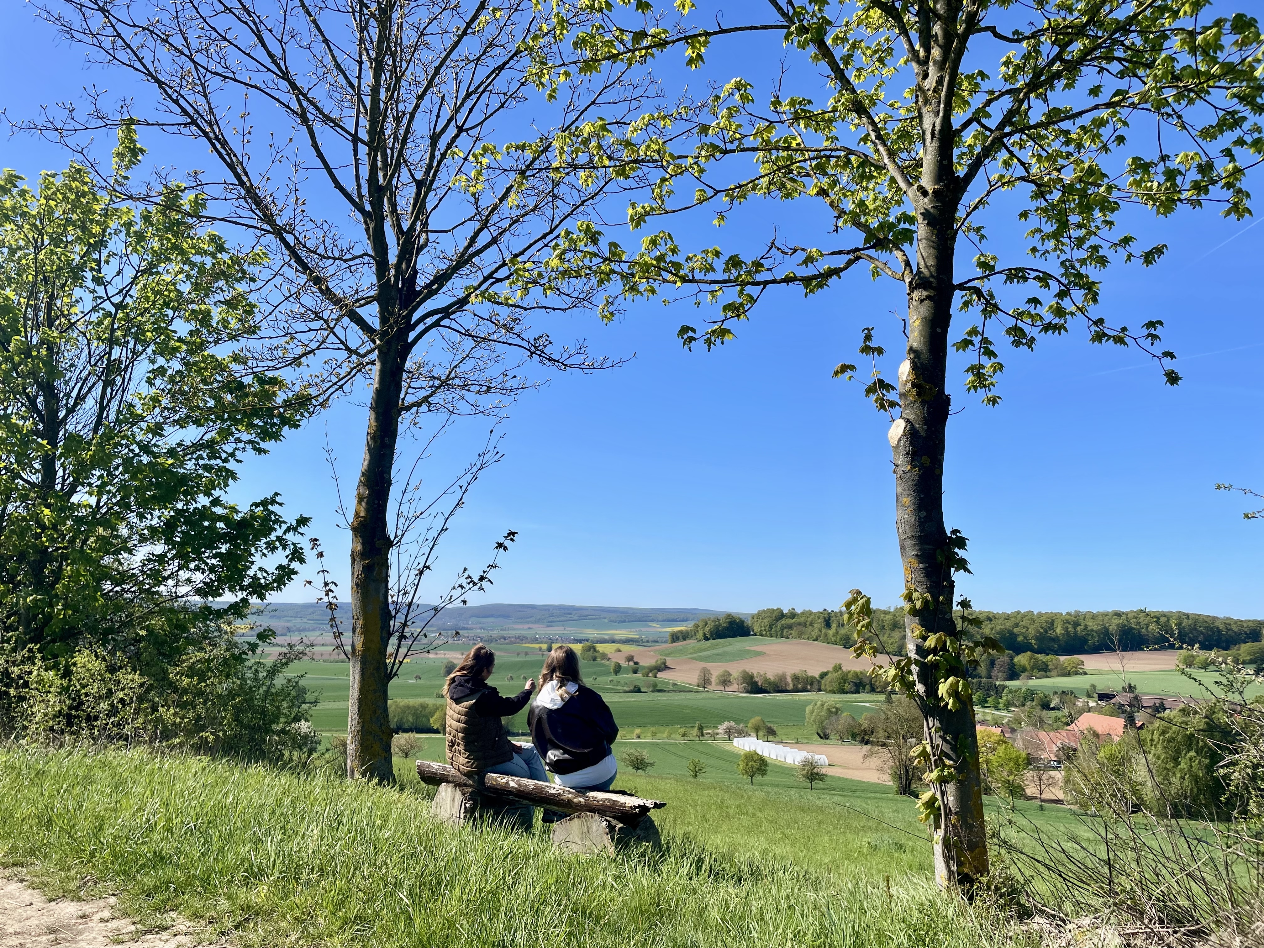PANORAMAWEG - Weite Wiesen, große Blicke
