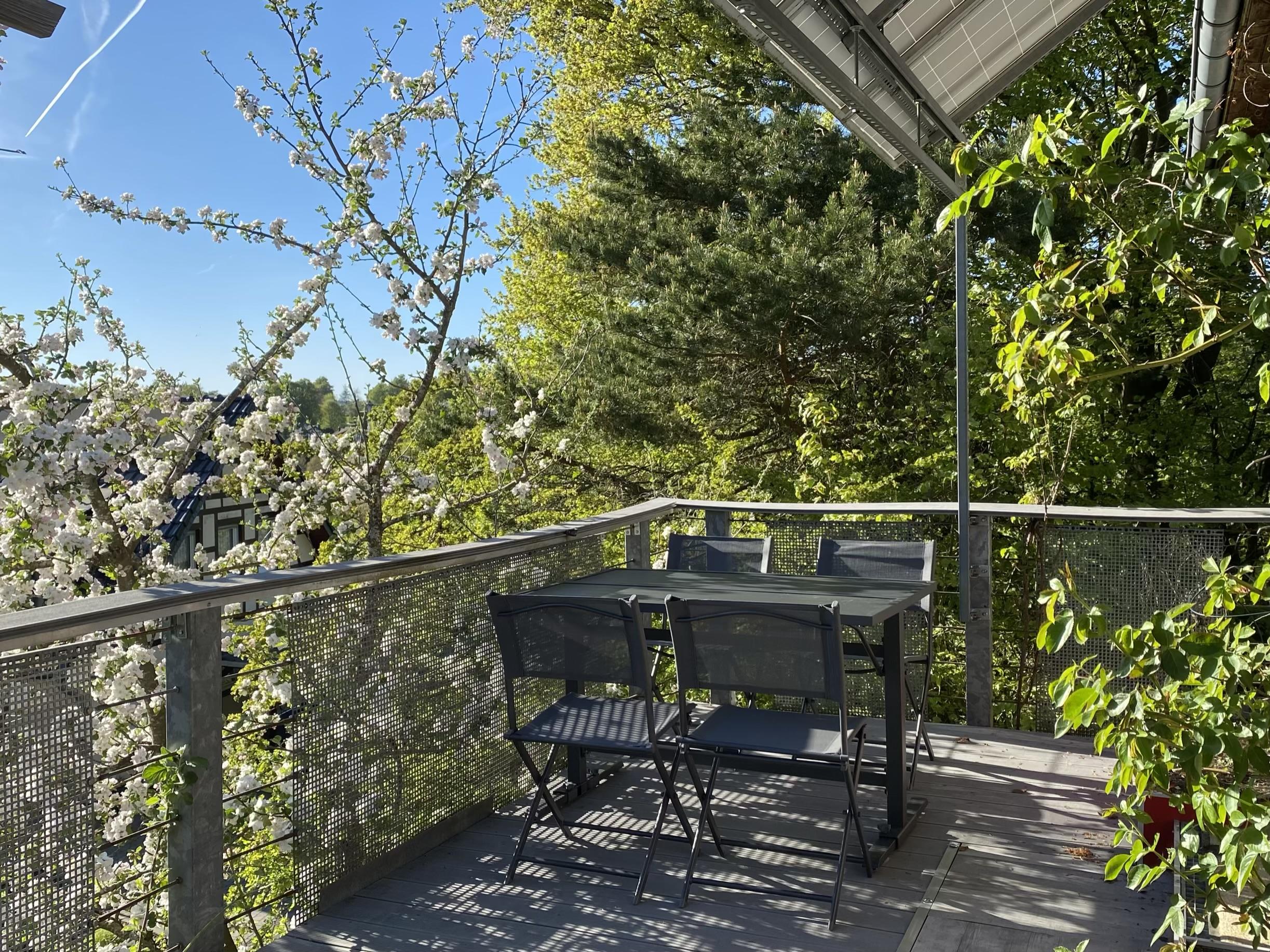 Ferienwohnung Buchenzauber, Monschau