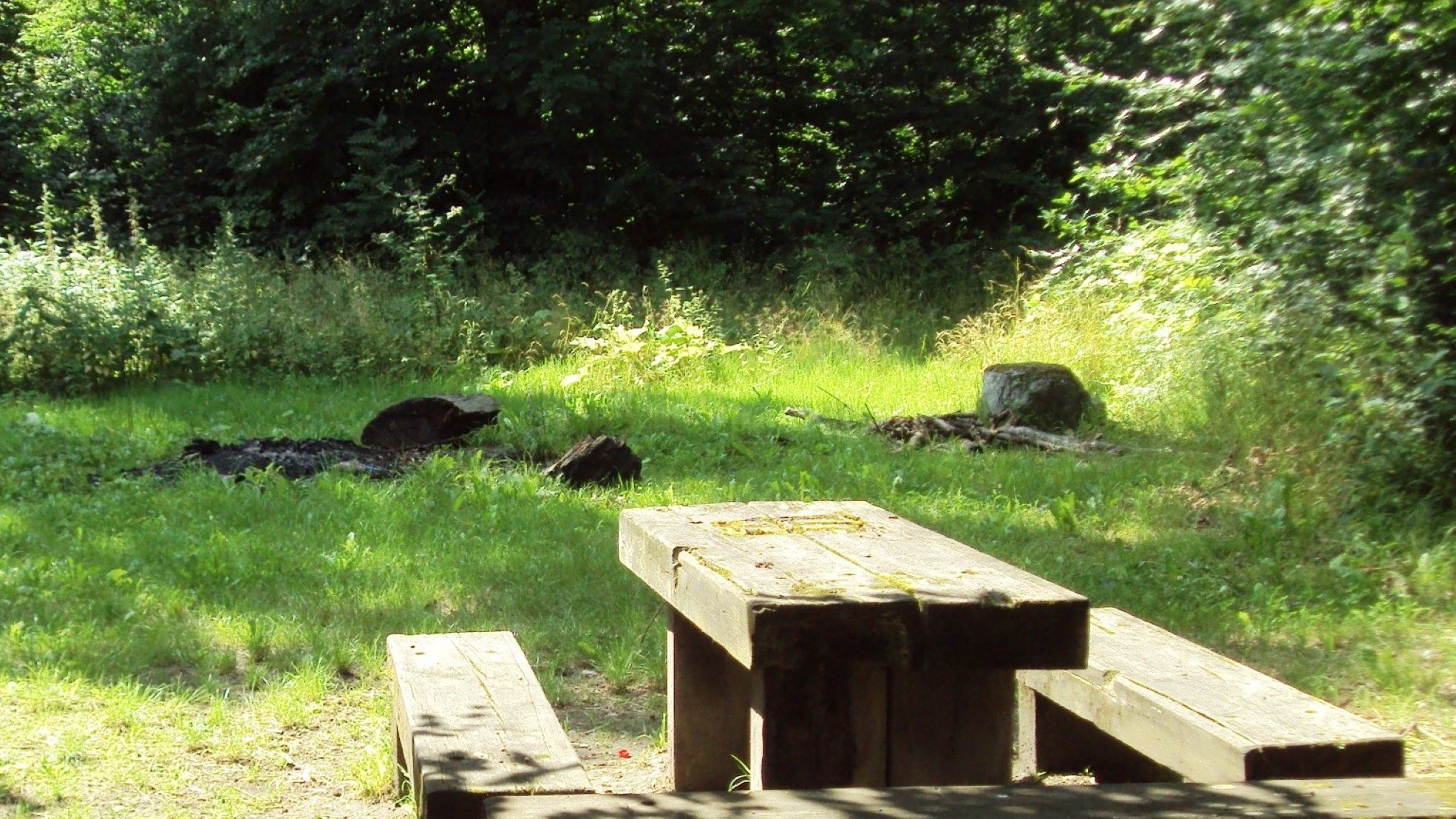 Grillplatz am Wanderparkplatz Hasselberg in Salder