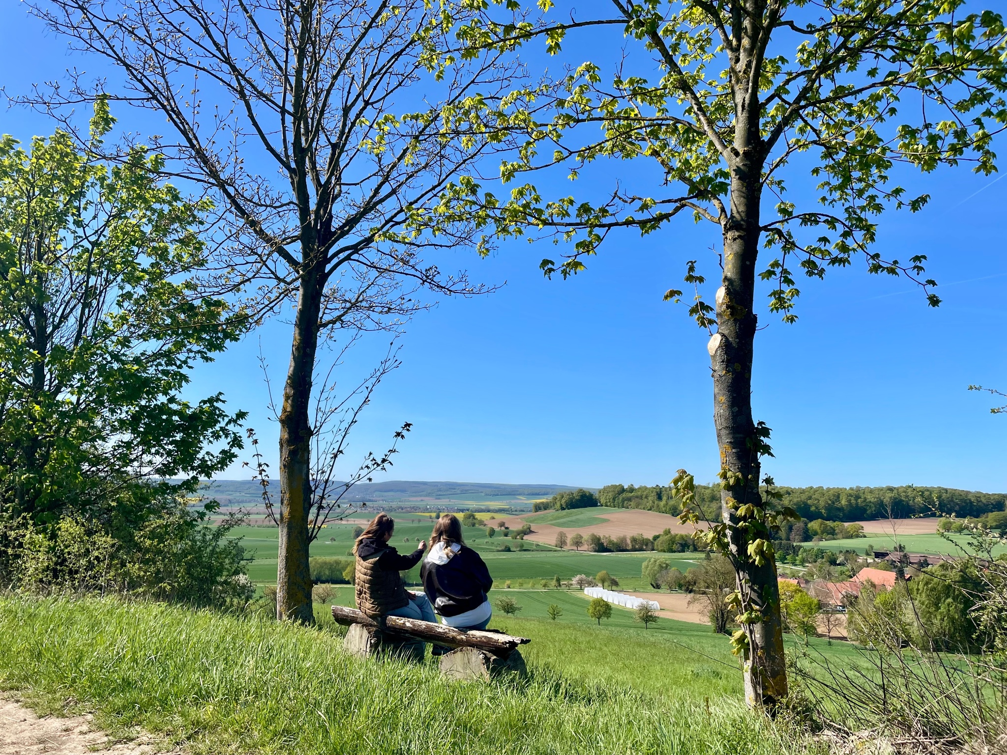 PANORAMAWEG - Weite Wiesen, große Blicke
