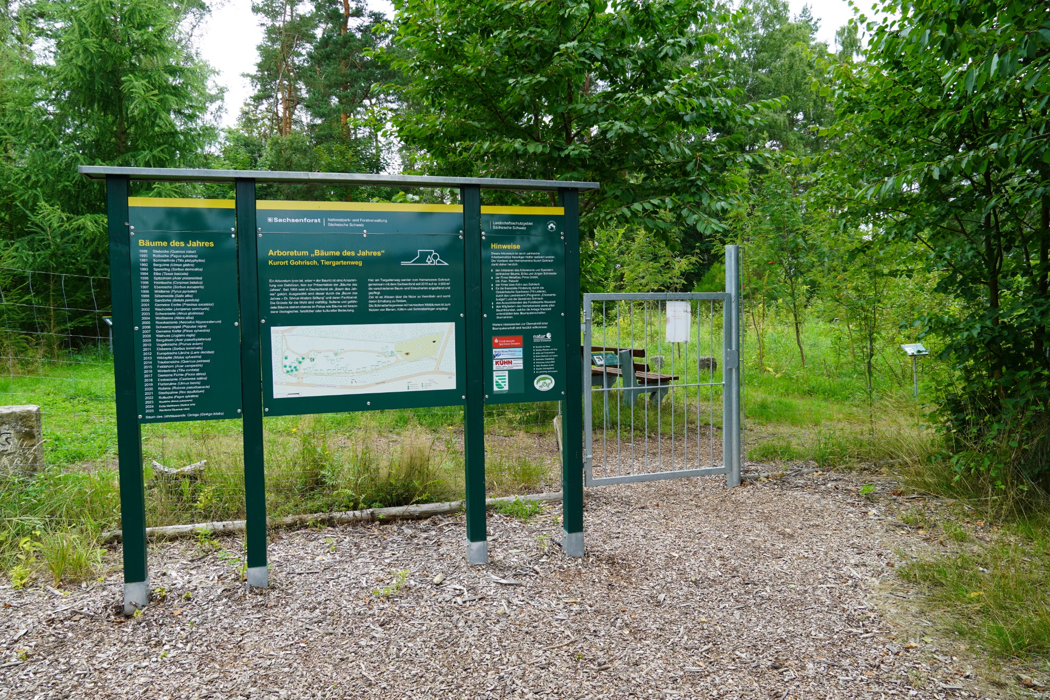 Arboretum „Bäume des Jahres“ – Motiv