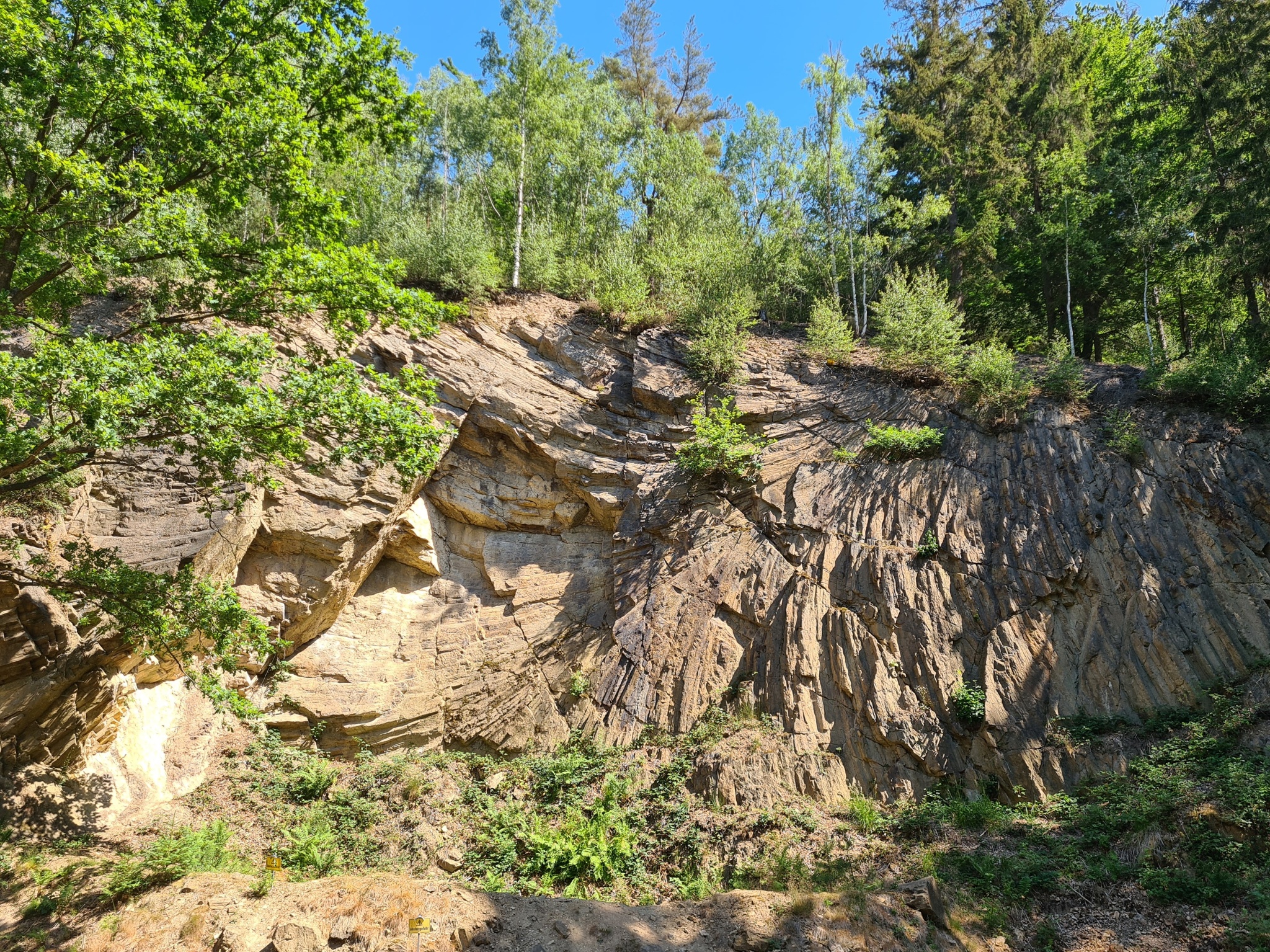 Erdgeschichte entdecken im Tharandter Wald – Motiv