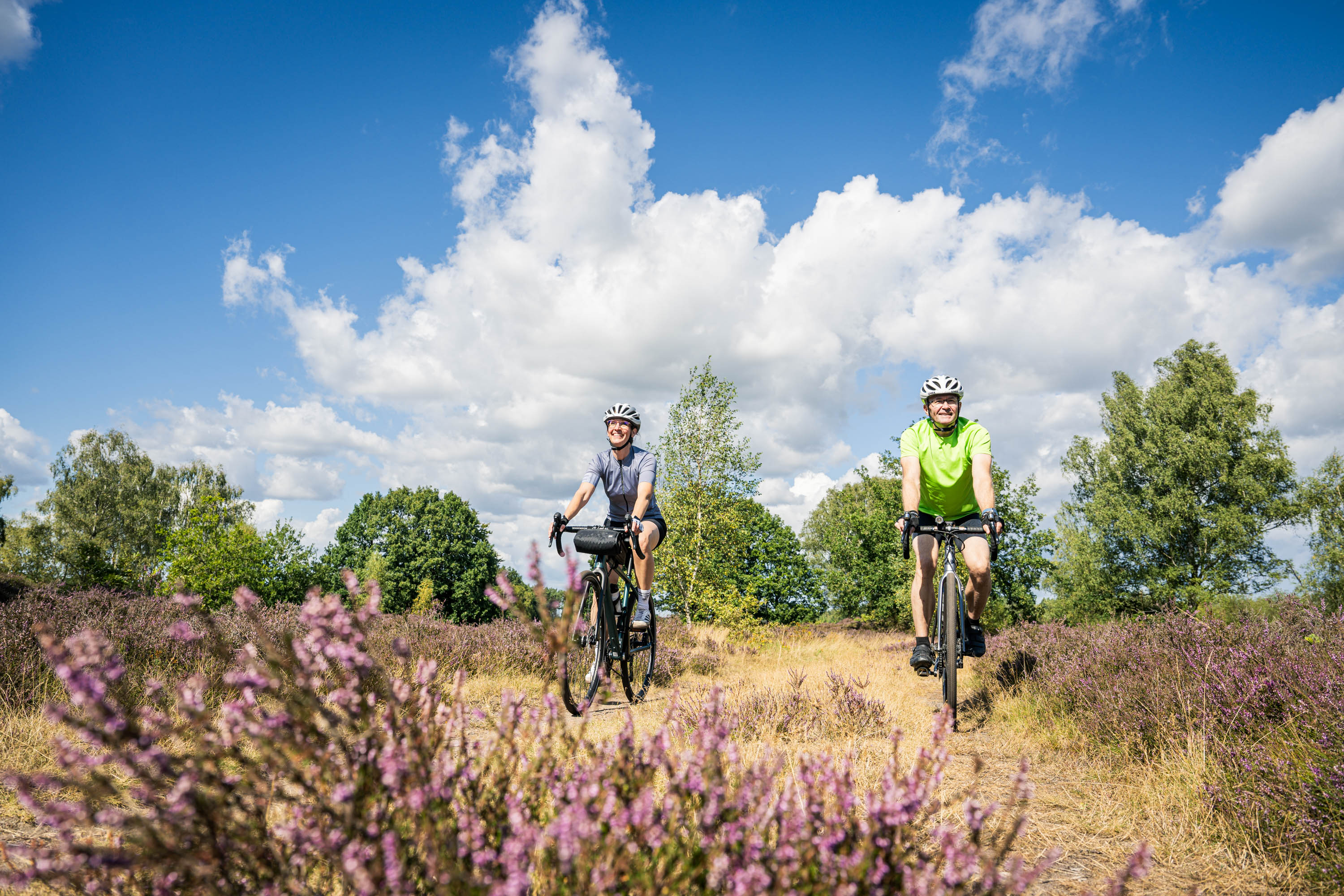 hollandrad gebraucht gazelle Gazelle Classic Panther Black R3T Rcktritt  Gazelle Store Hamburg