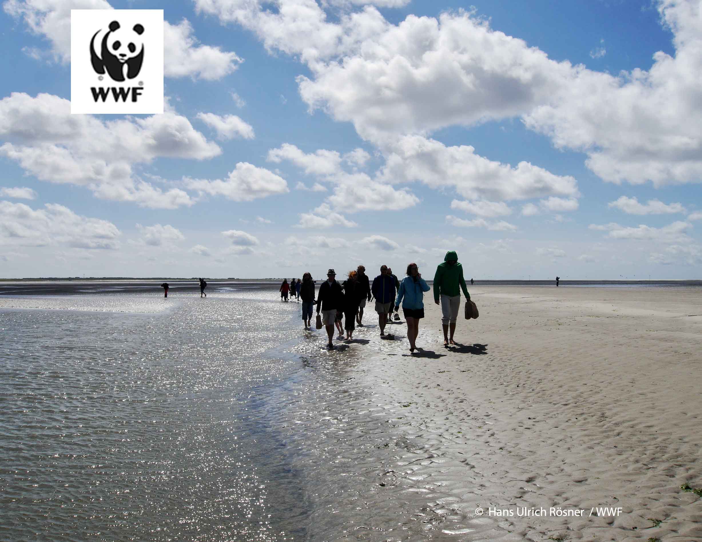 Gruppe Wattwanderer; sie tragen die Schuhe in der Hand und schlendern den Strand einer Insel entlang.