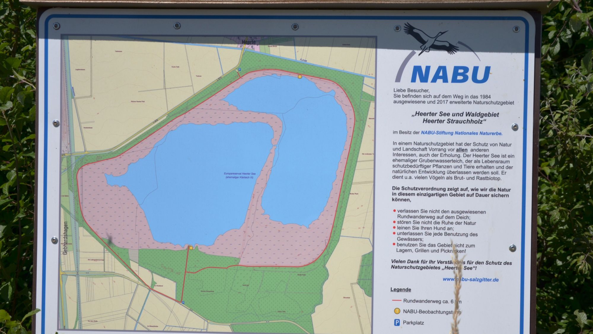 Vogel-Expeditionen mit dem NABU Salzgitter: "Herbstzug am Heerter See"