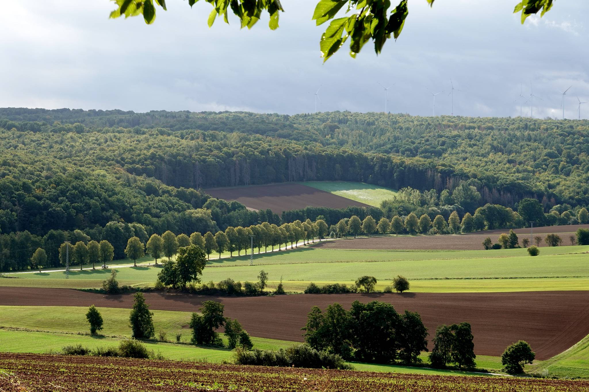 Fachwerk5Eck-Route Duderstadt-Göttingen-Hann. Münden