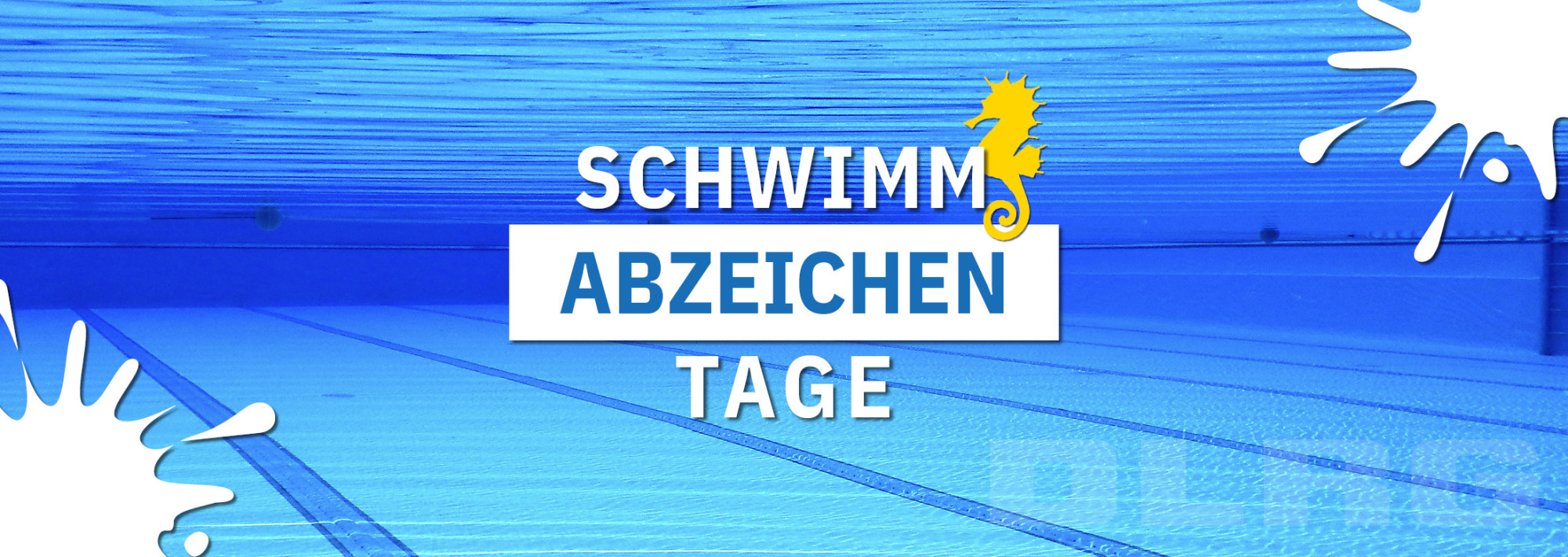 Schwimmabzeichen-Tag 2026