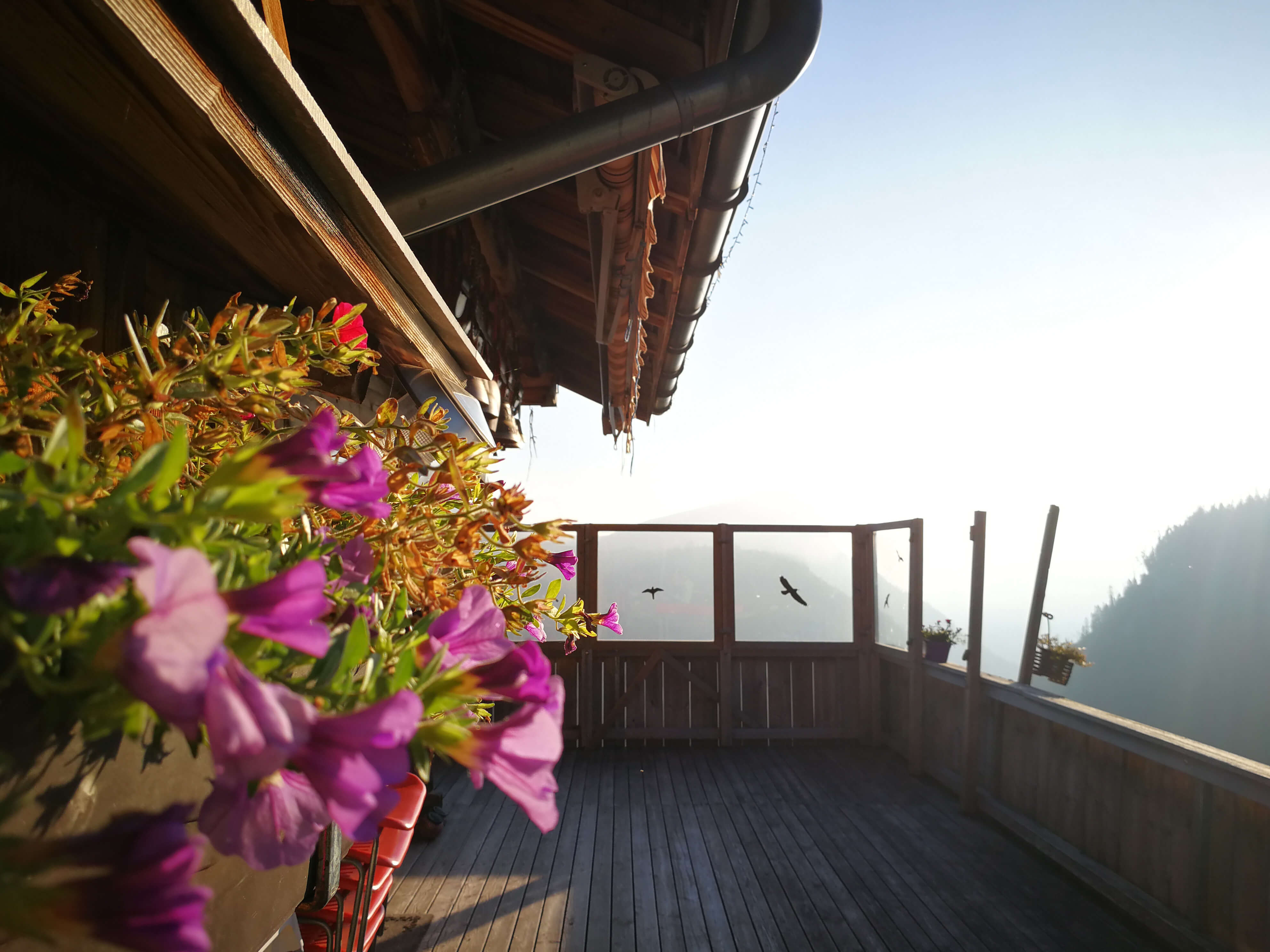 Sennhütte Menigwald Terrasse mit Blumen auf dem Balkon