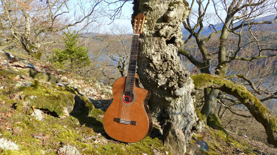 Gitarrenfestival: Finale in Bad Wildungen