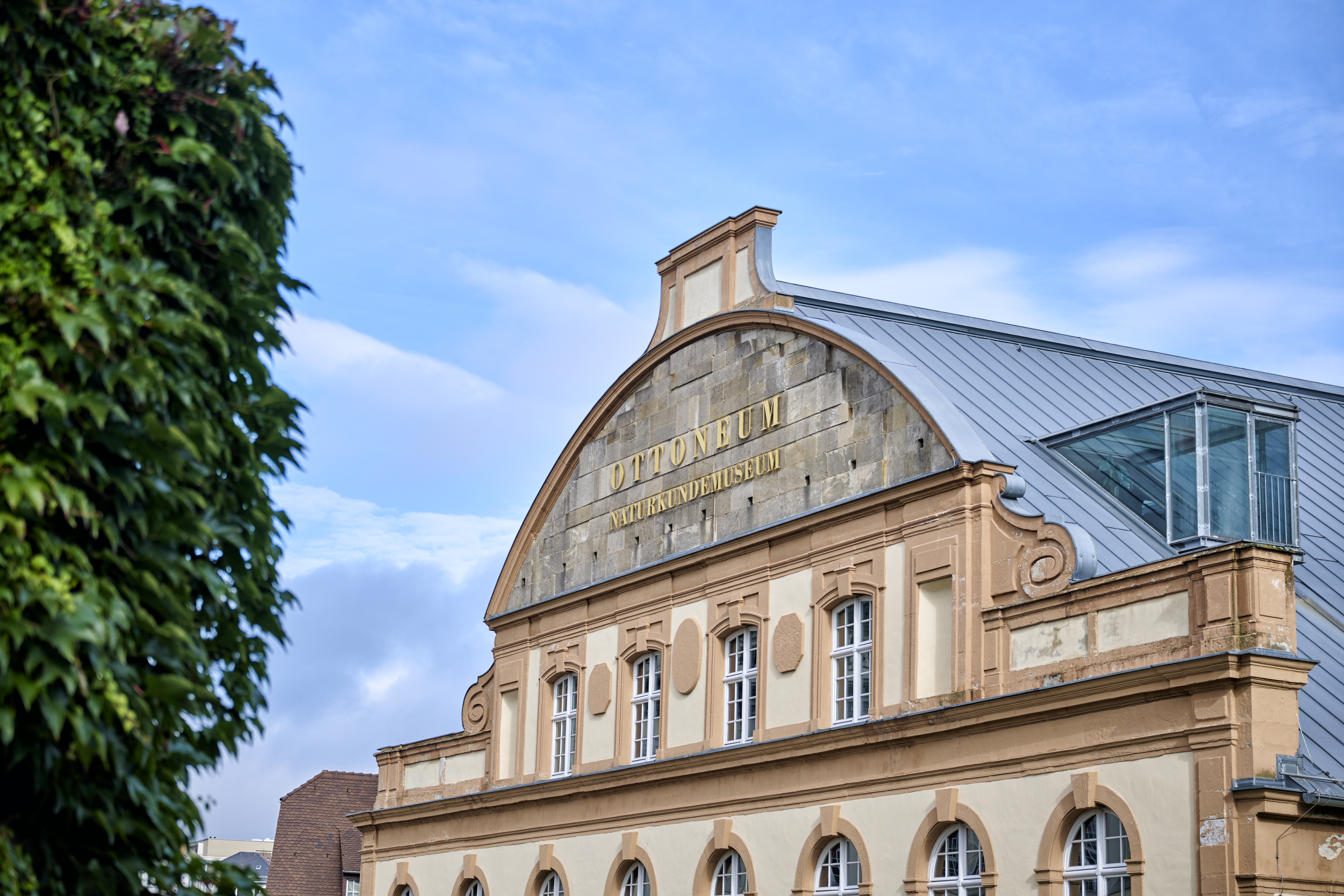 Museum of Natural History in the Ottoneum