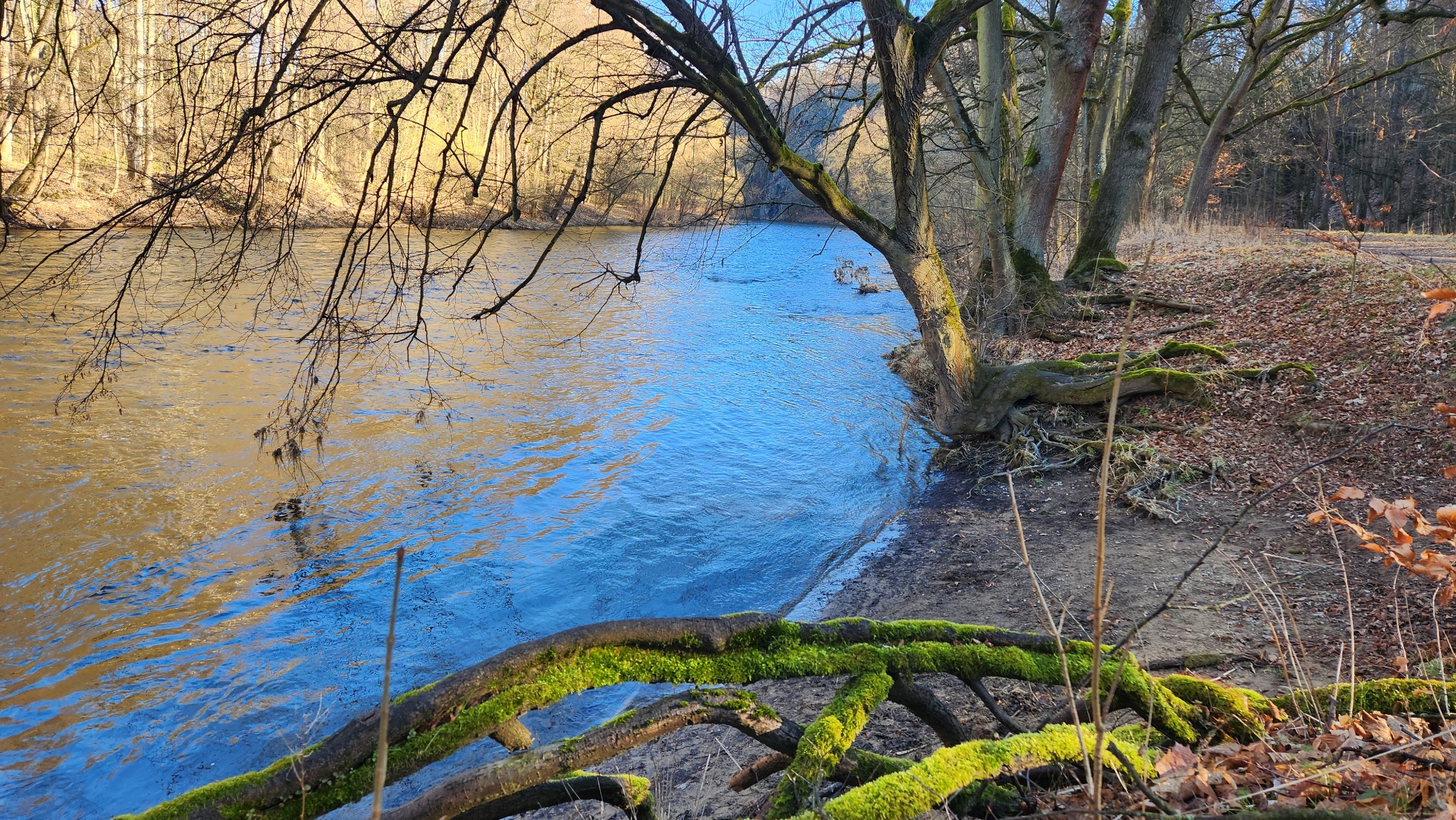 Zschopautal Braunsdorf Harrasfelsen Braunsdorf – Motiv