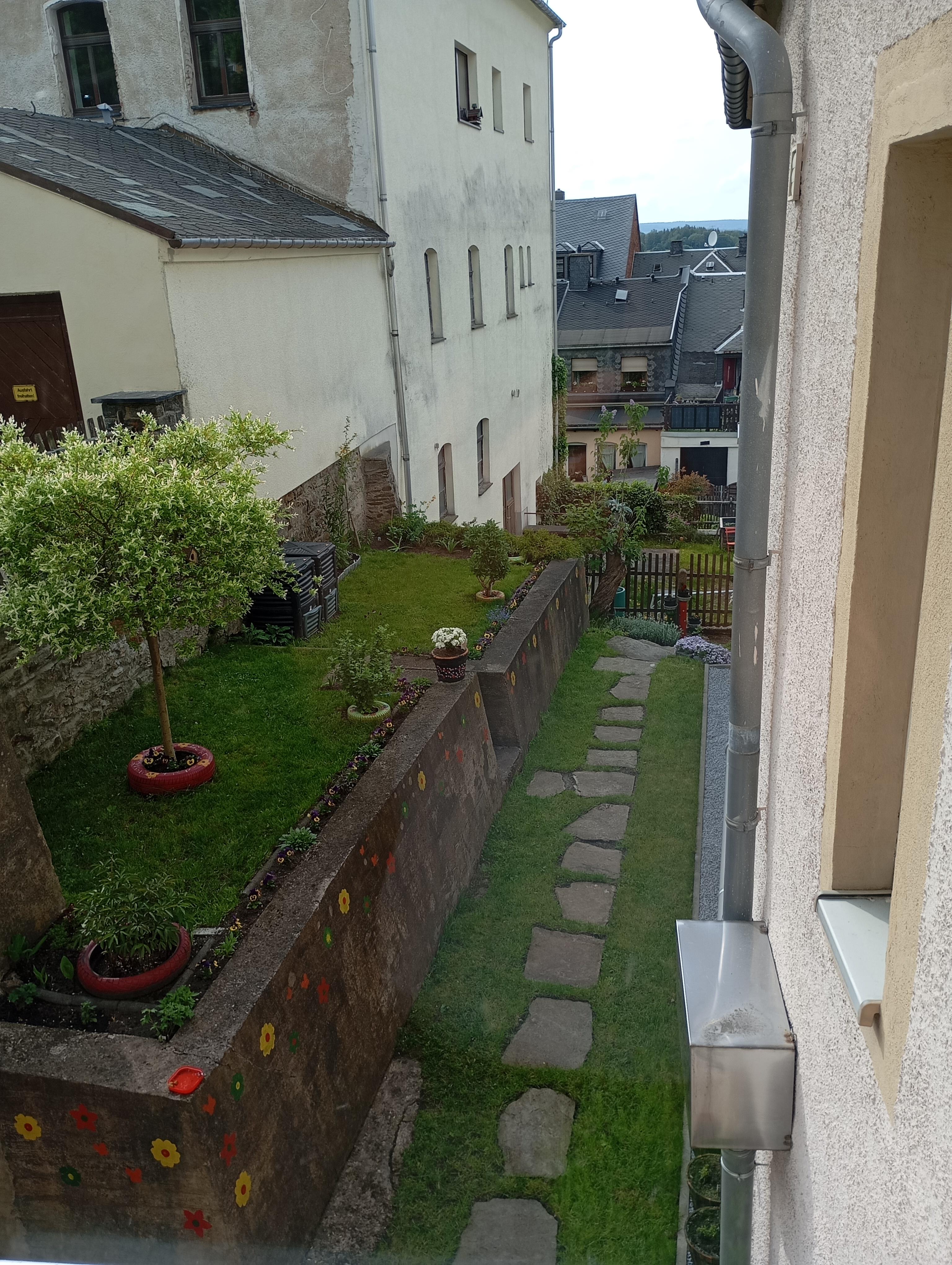 Blick in den Garten