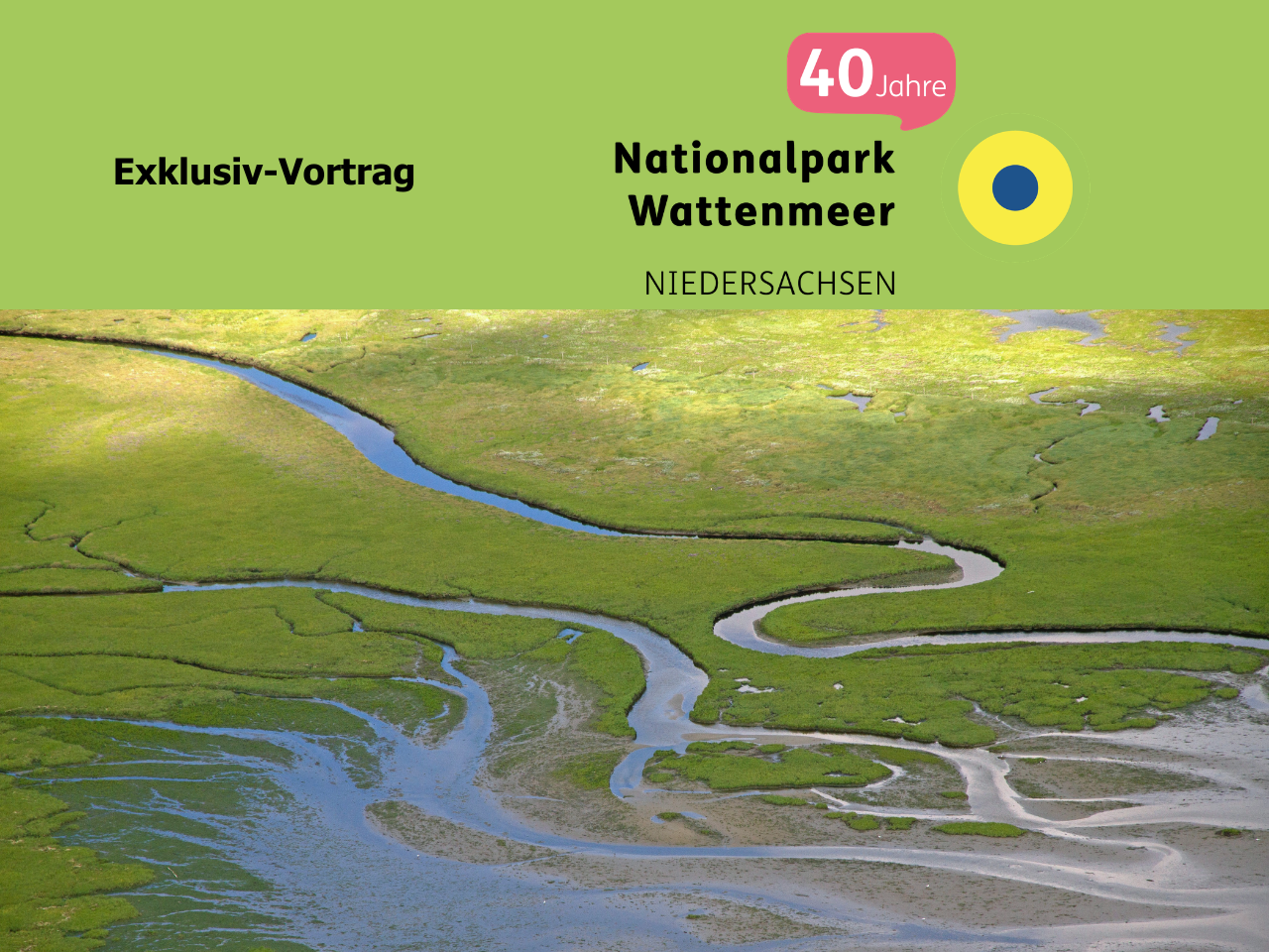 Foto mit einer bewachsenen Wattlandschaft, Priele schlängeln sich durch diese Landschaft, über dem Bild steht Exlusiv-Vortrag und ein Logo Nationalpark Wattenmeer Niedersachsen 40 Jahre
