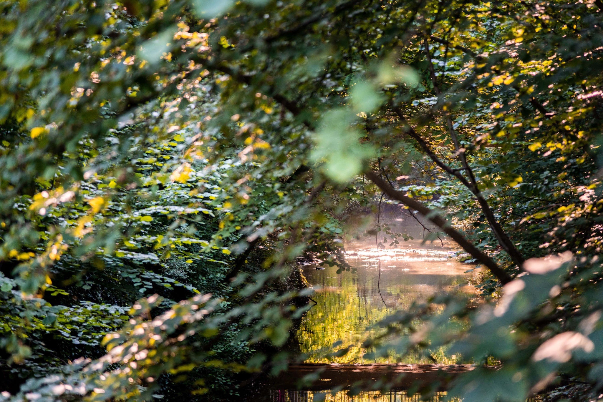 VitalWeg 1 – Wallrunde durch die Geschichte Einbecks