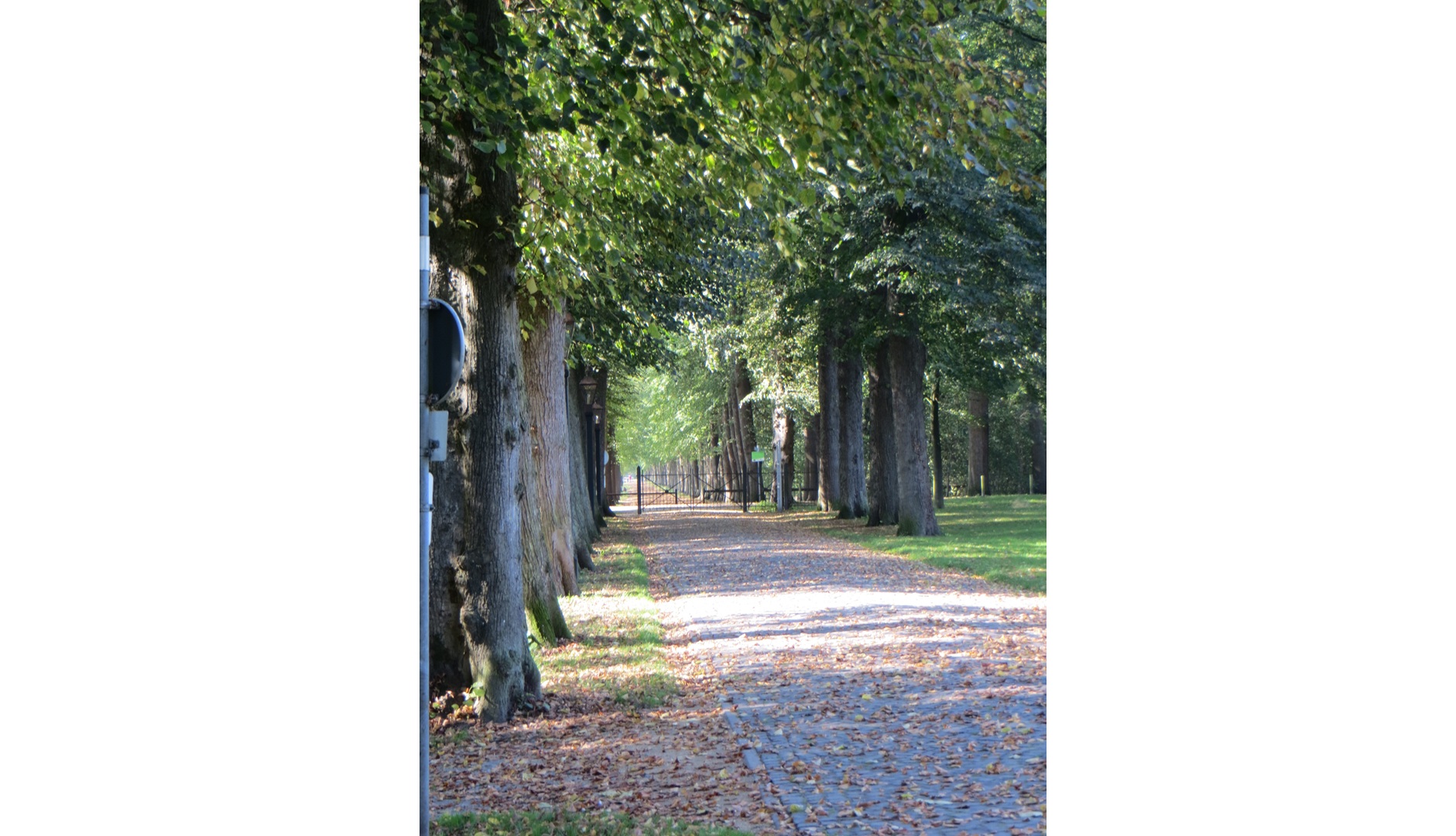 Offene Parkführung "Evenburgpark klimastabil"