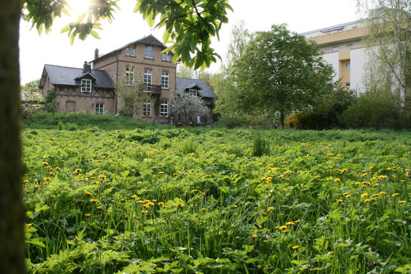 Ferienwohnung Goosmann, Bad Honnef