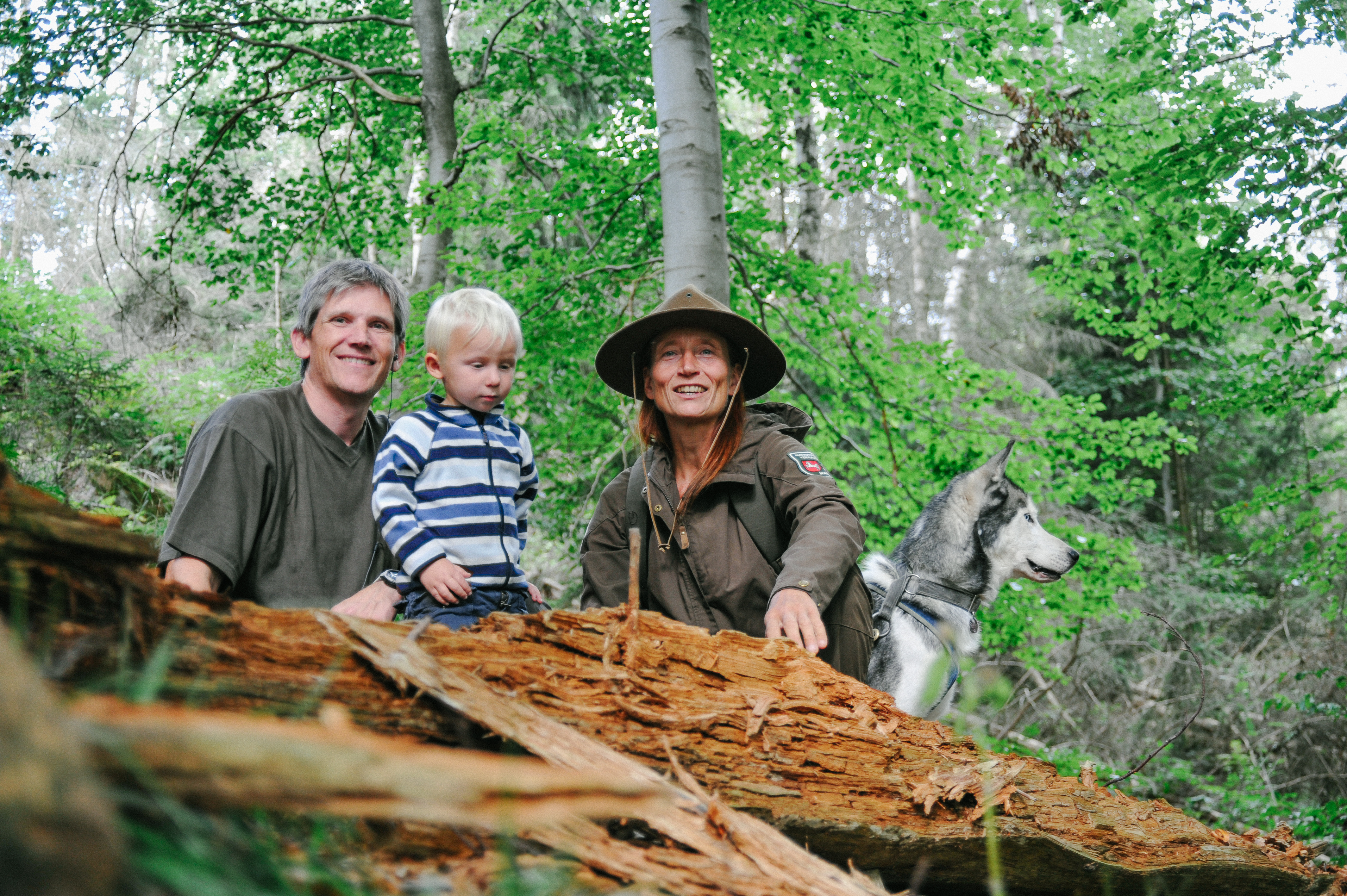 Mit dem Ranger durch die Wildnis