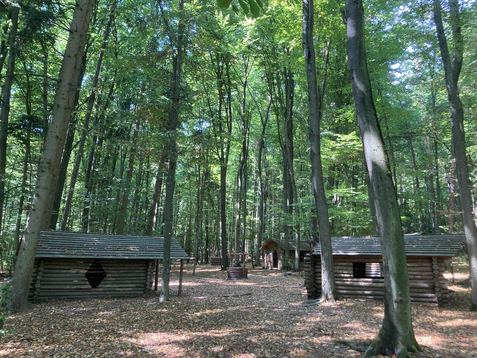 Waldspielgruppe im Herbstwald