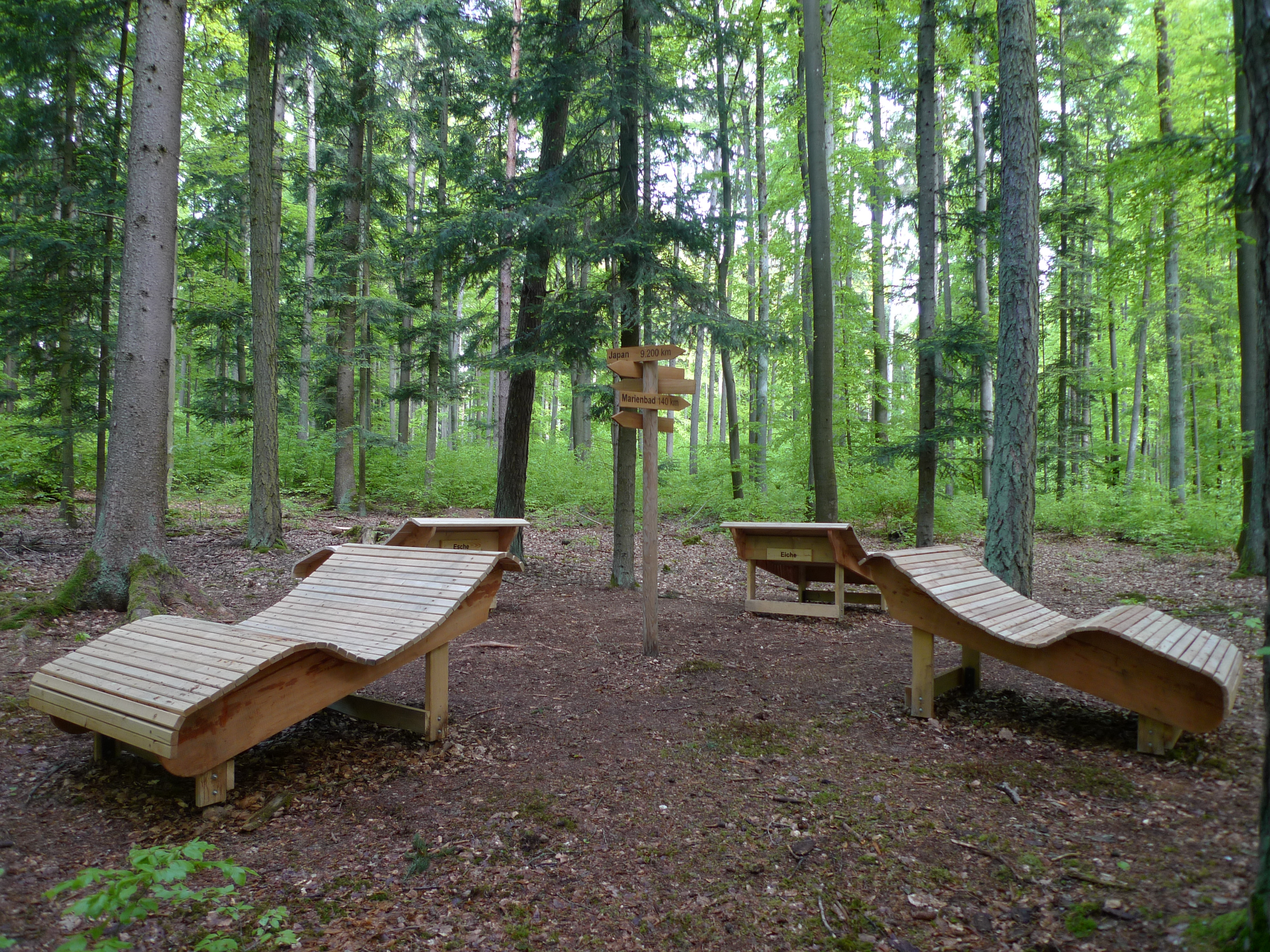 Waldbaden in der Dunkelheit