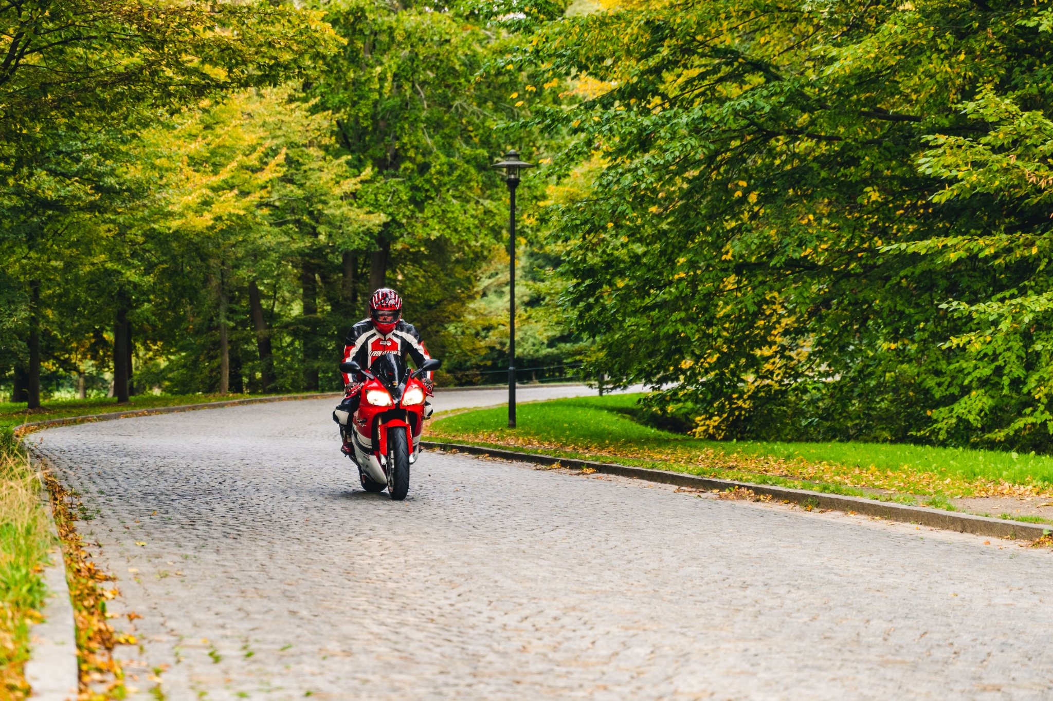 Zwischen Sachsenring und Burg Kriebstein – Motiv