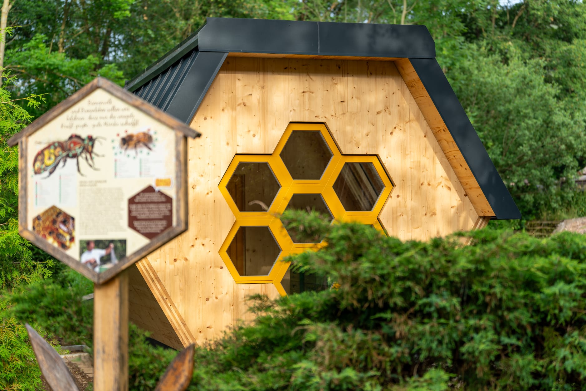 Erlebnisimkerei Bienentau