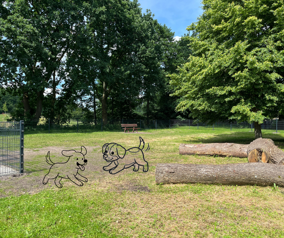 Hundefreilauffläche am Hahnentanger See