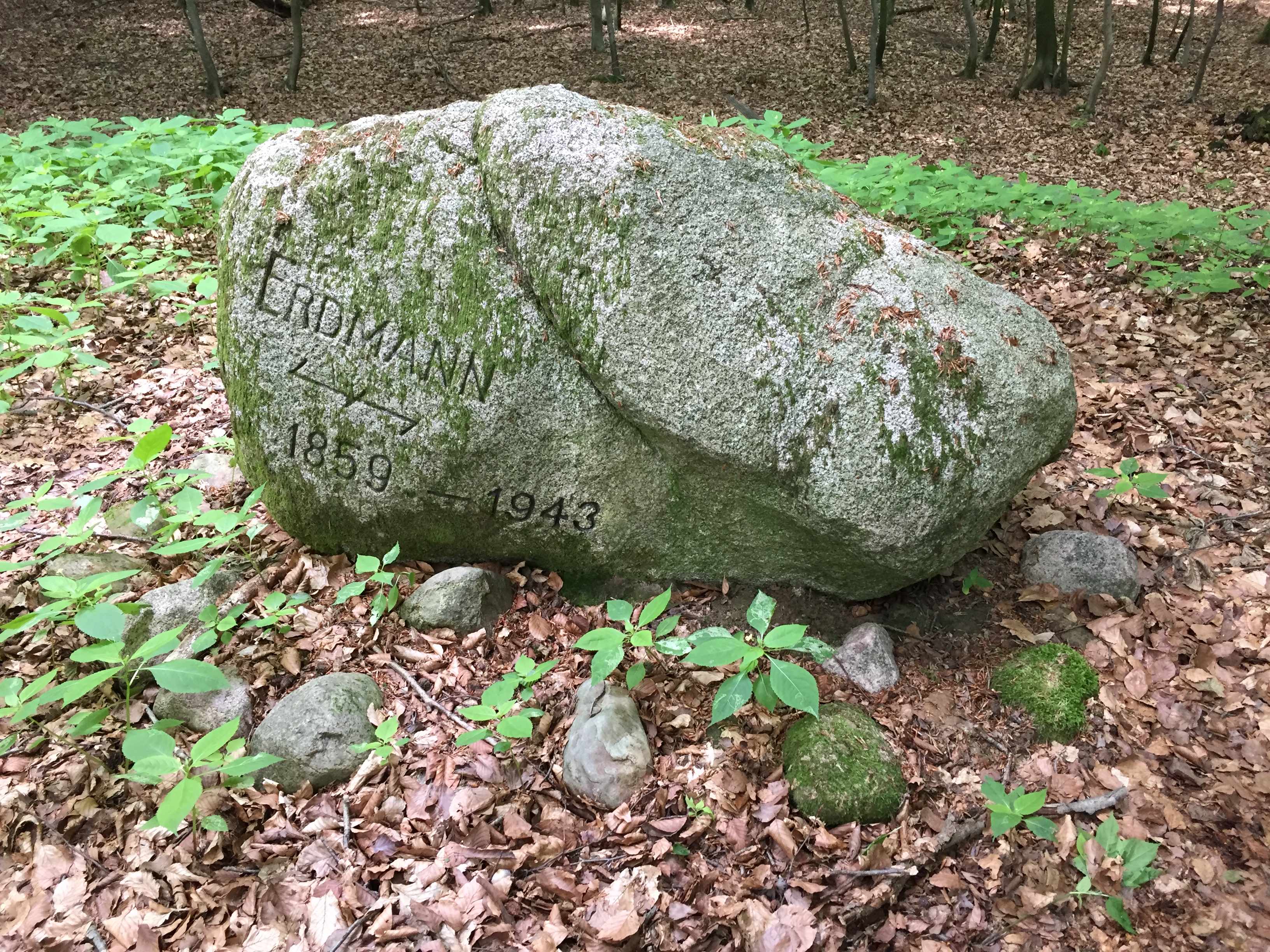 Erdmannwälder bei Neubruchhausen