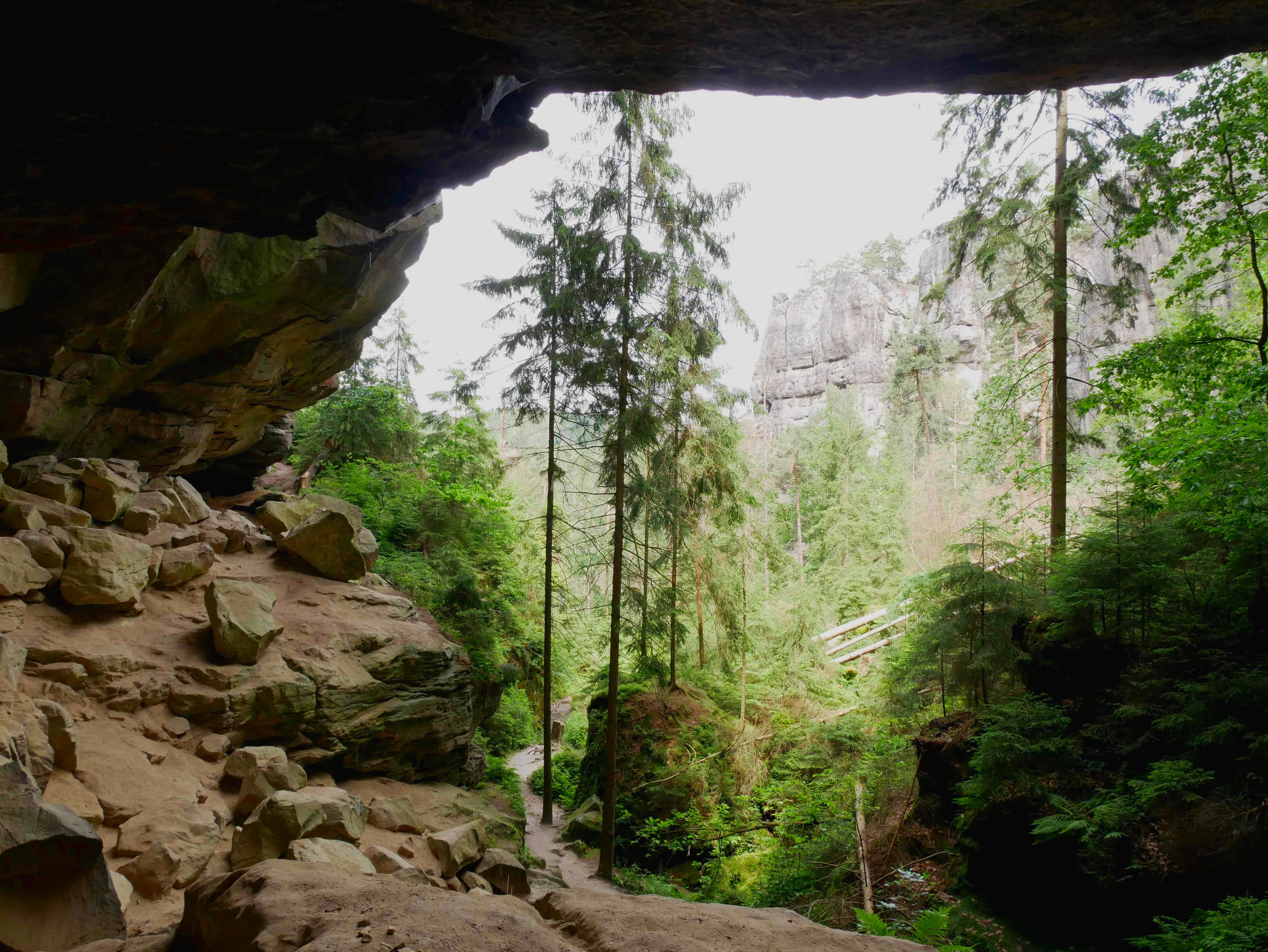 Geologische Exkursion: Erkundungen rund um Hohnstein