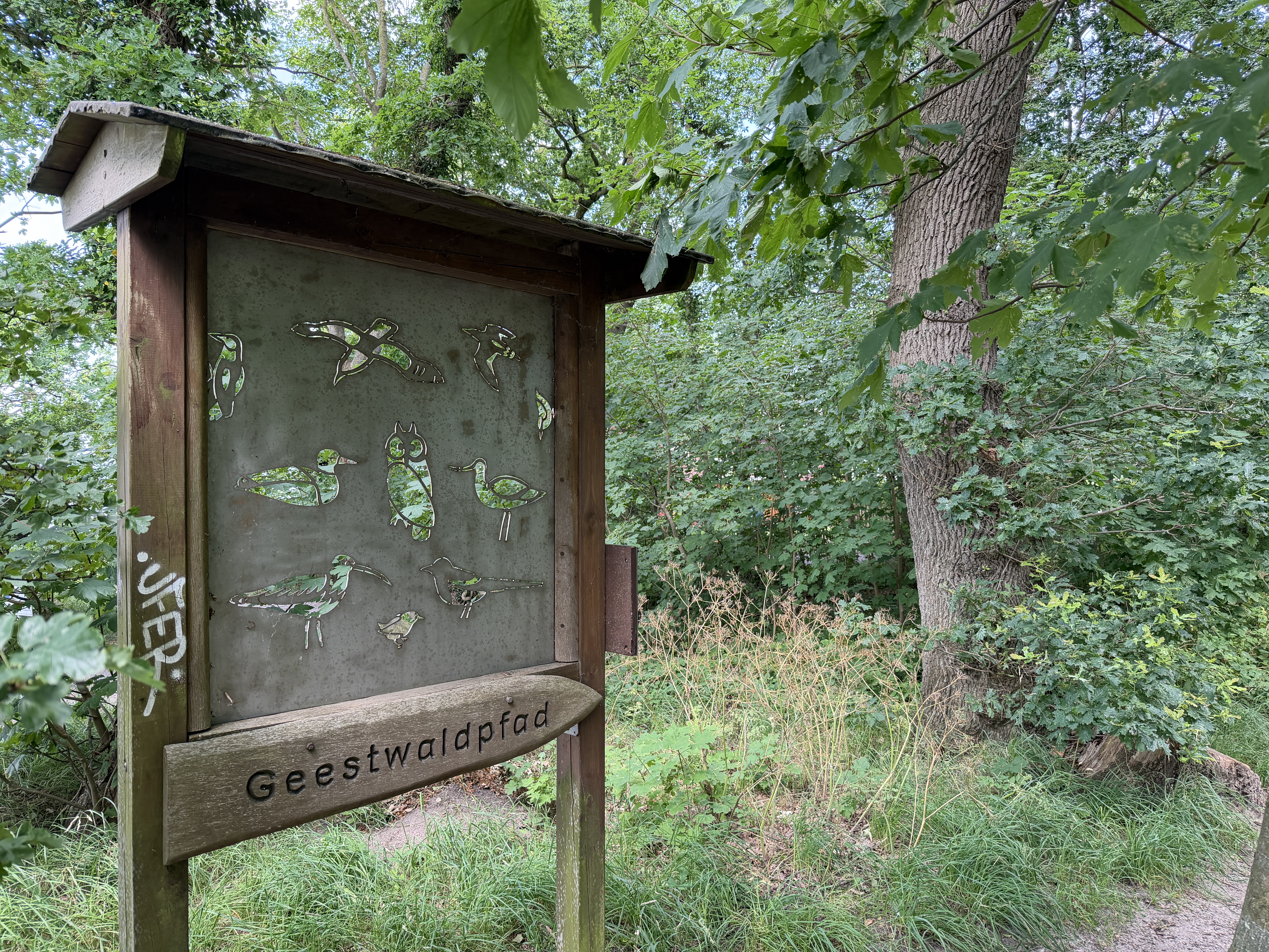 Geestwaldpfad