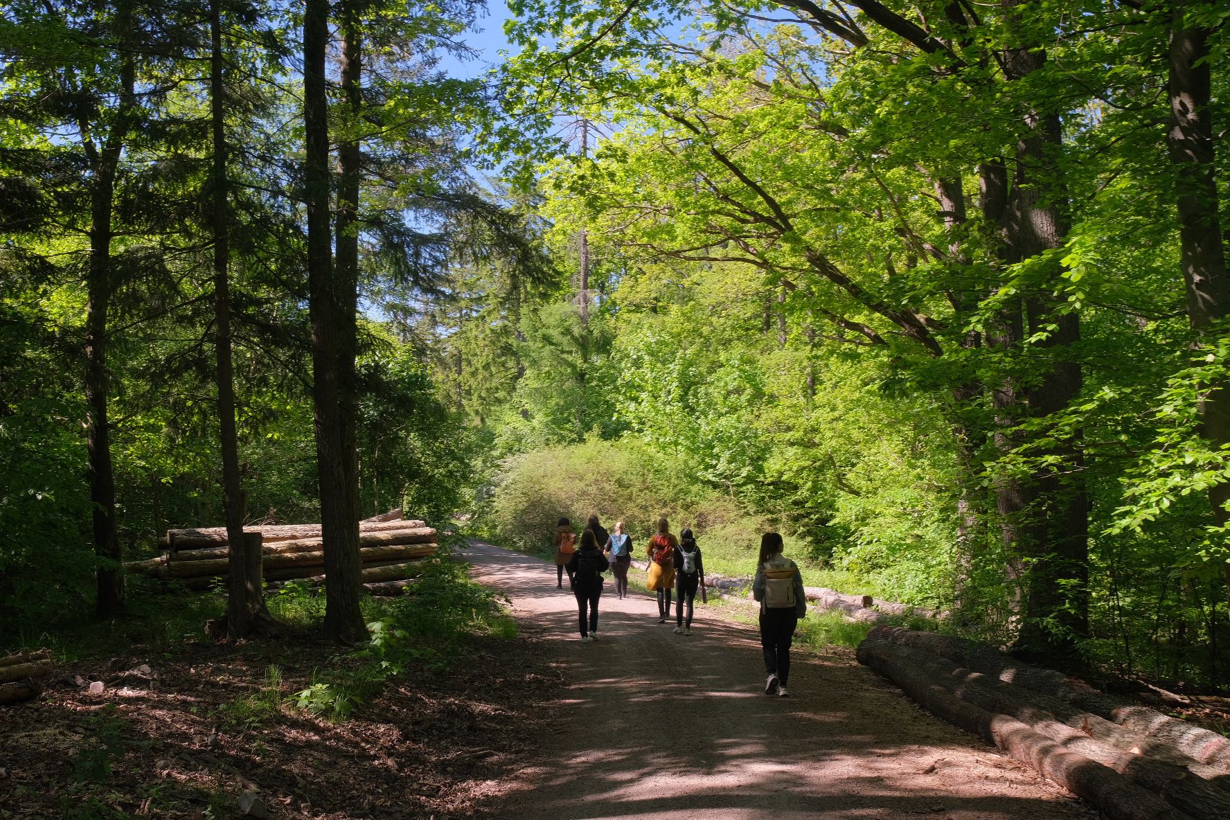 Afterwork-Waldbaden in Blankenburg