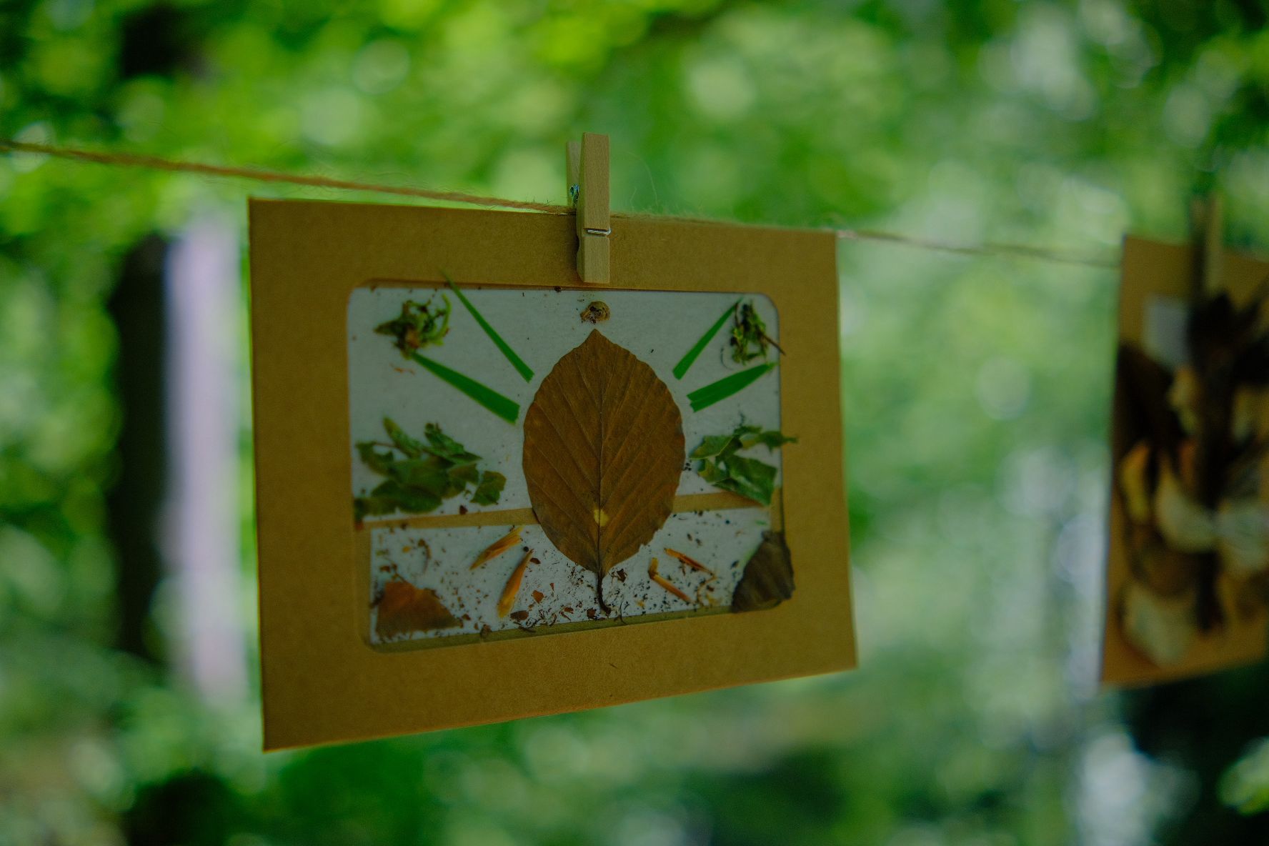 Waldbaden & Wildkräuter im Sommer