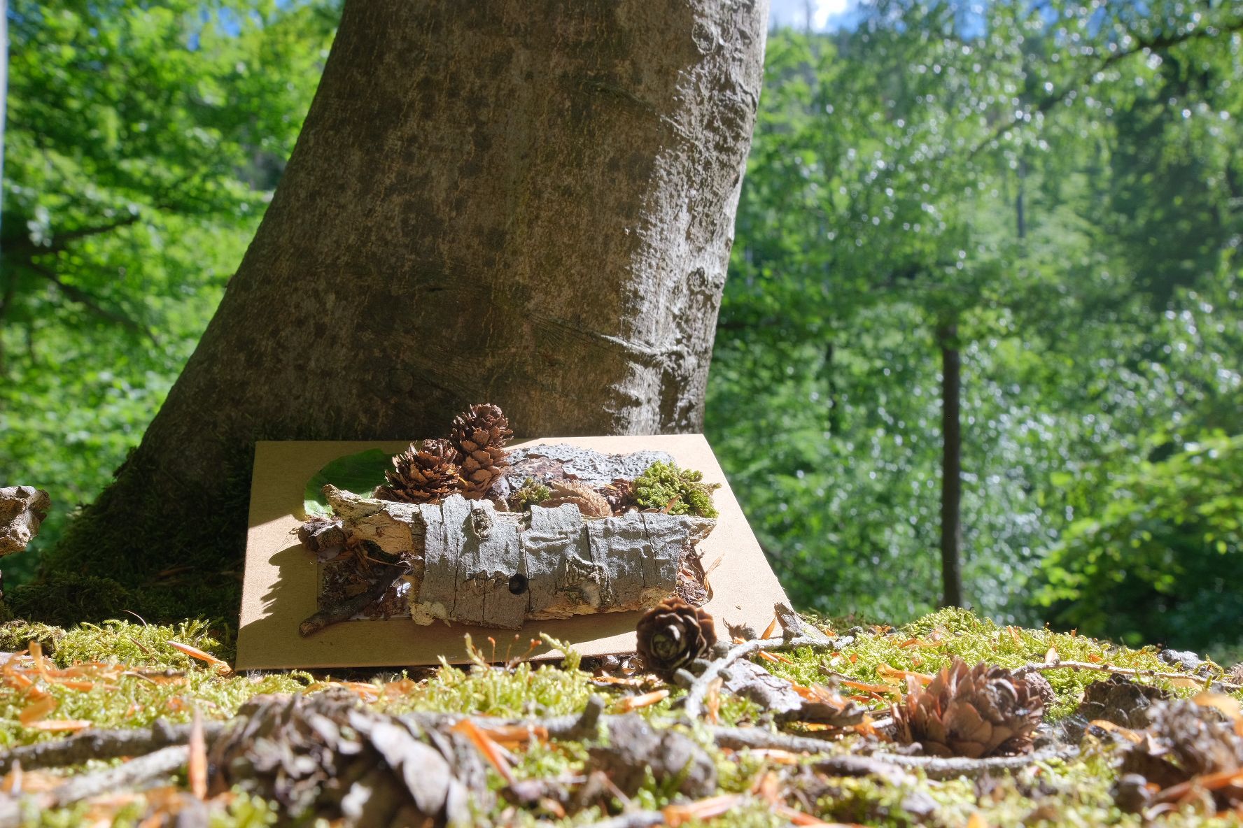 Afterwork-Waldbaden in Halberstadt